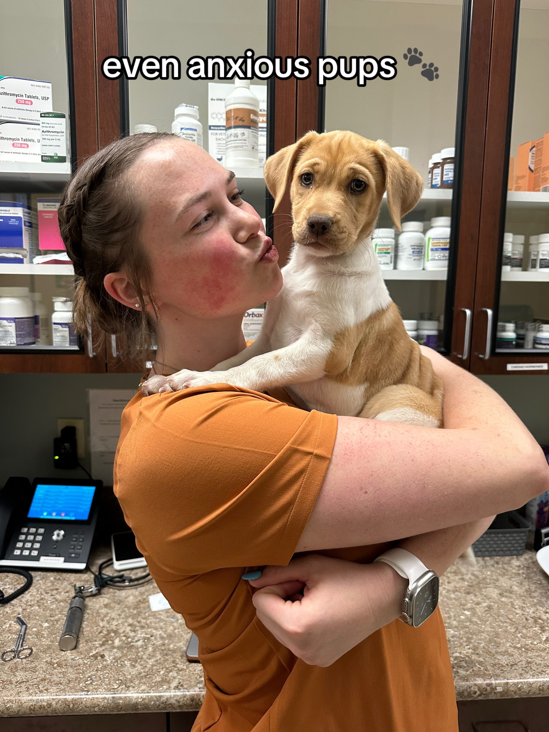 @Dreaming Summit Animal Hosp