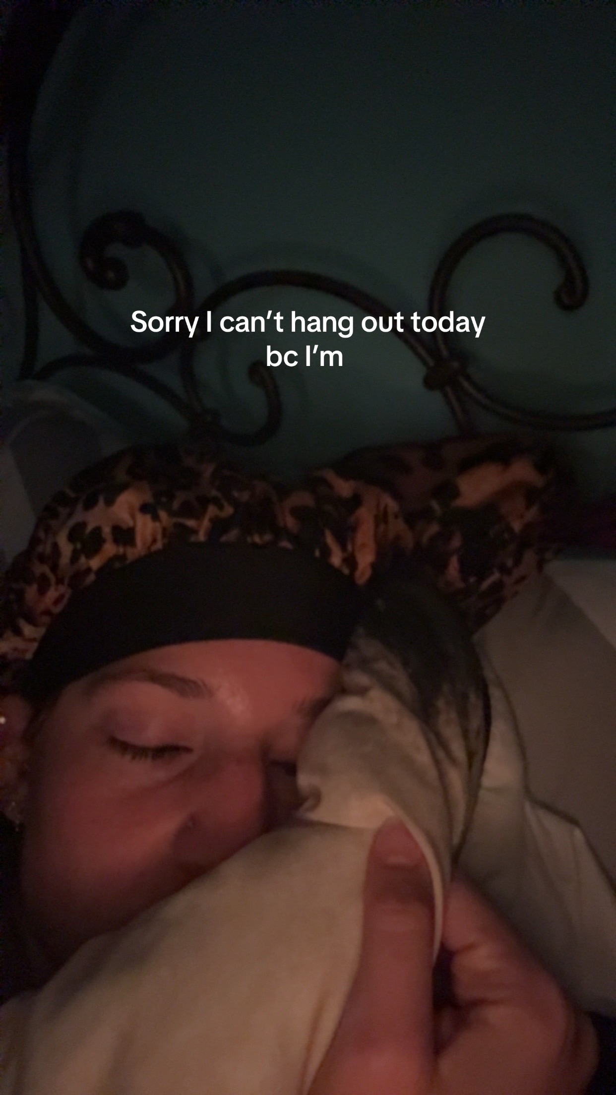 @angelwithsilverfangs