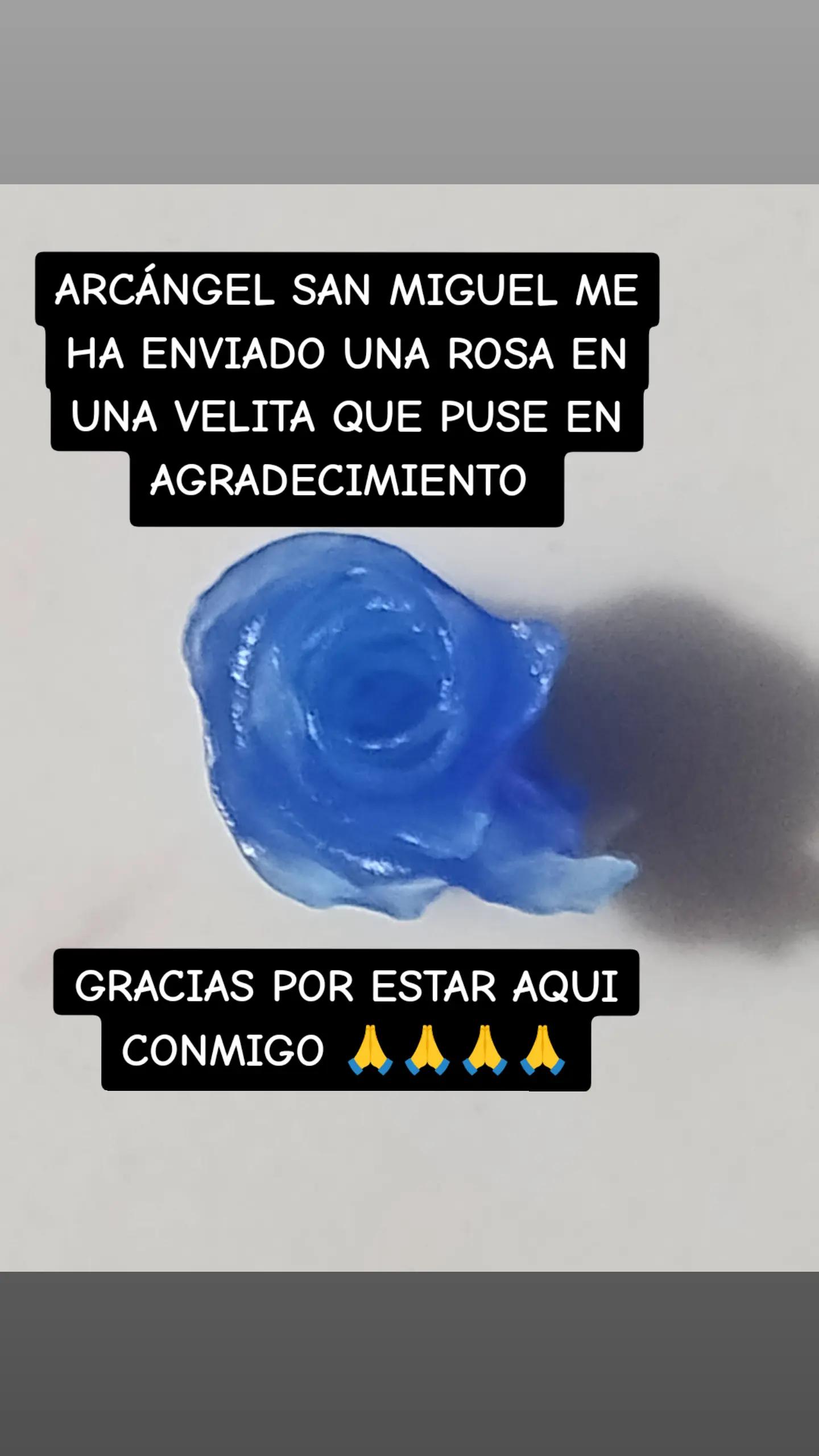 @TAROT LUZ DEL ALMA