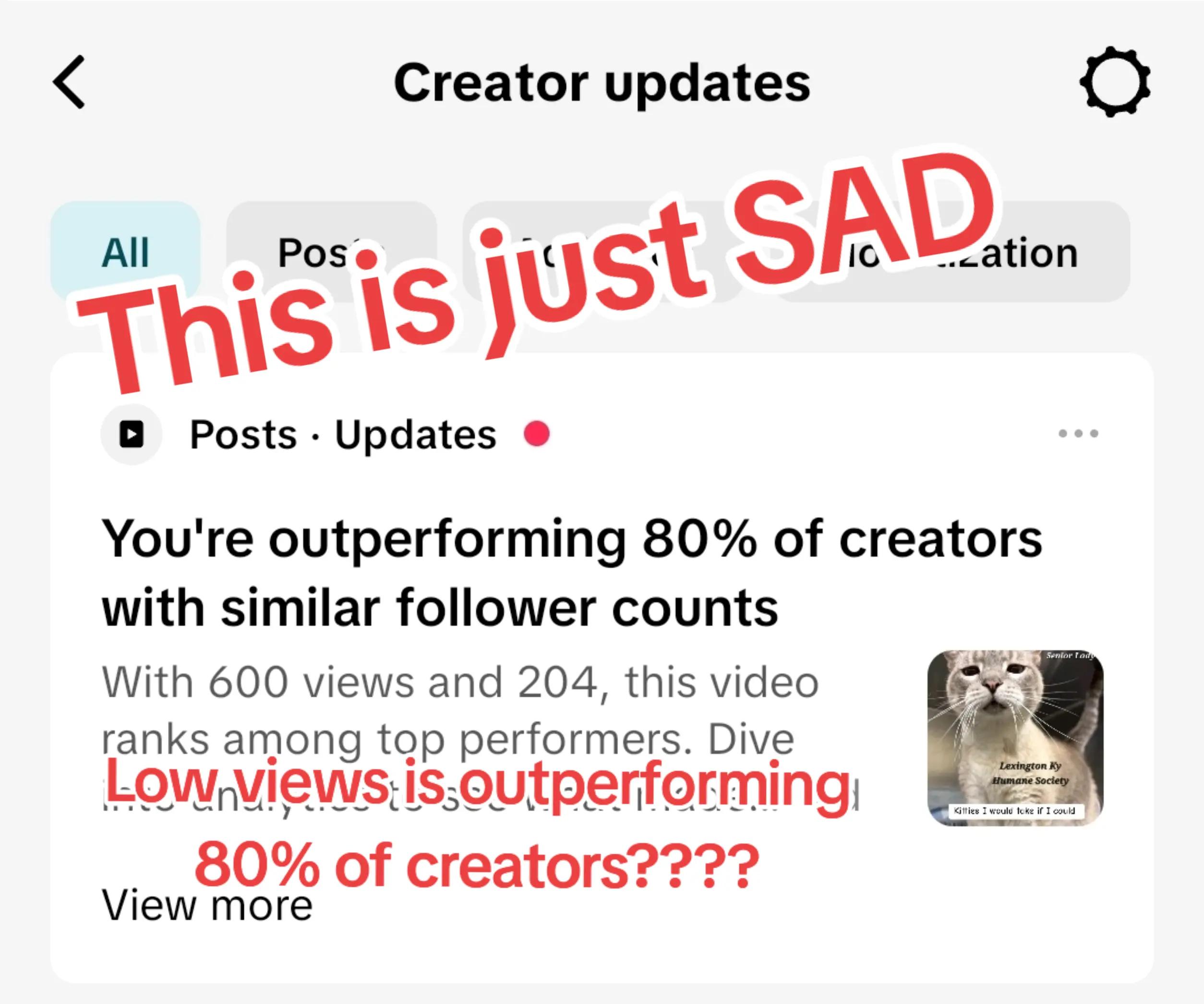 @No More Sad Kitties