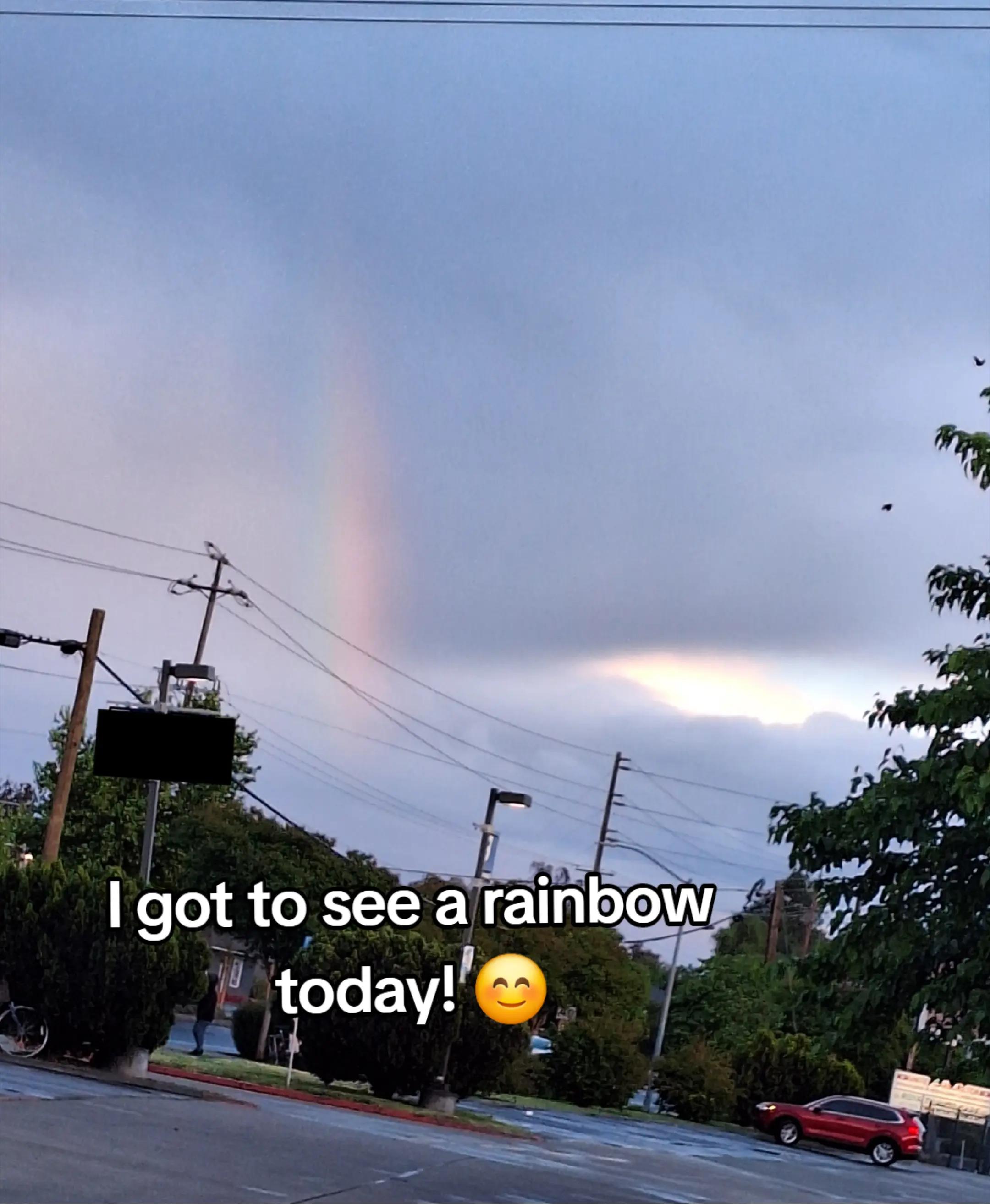 @kaitlinsillyrabbit