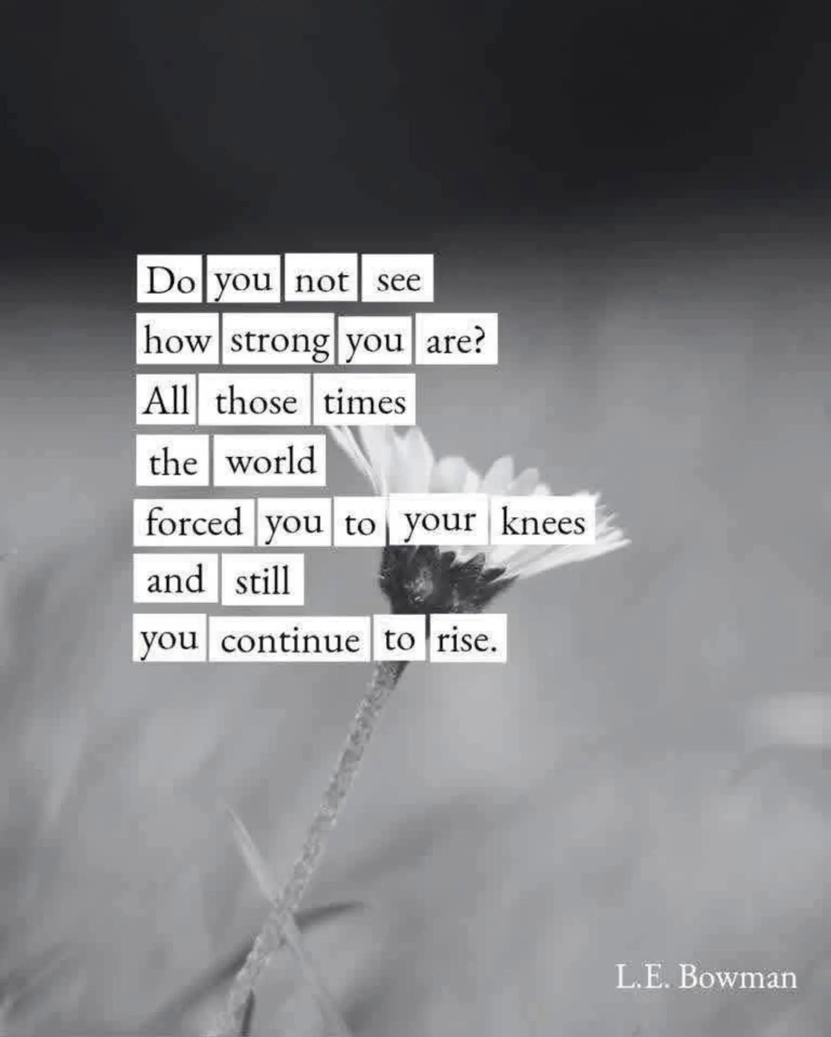 @Beautiful disaster