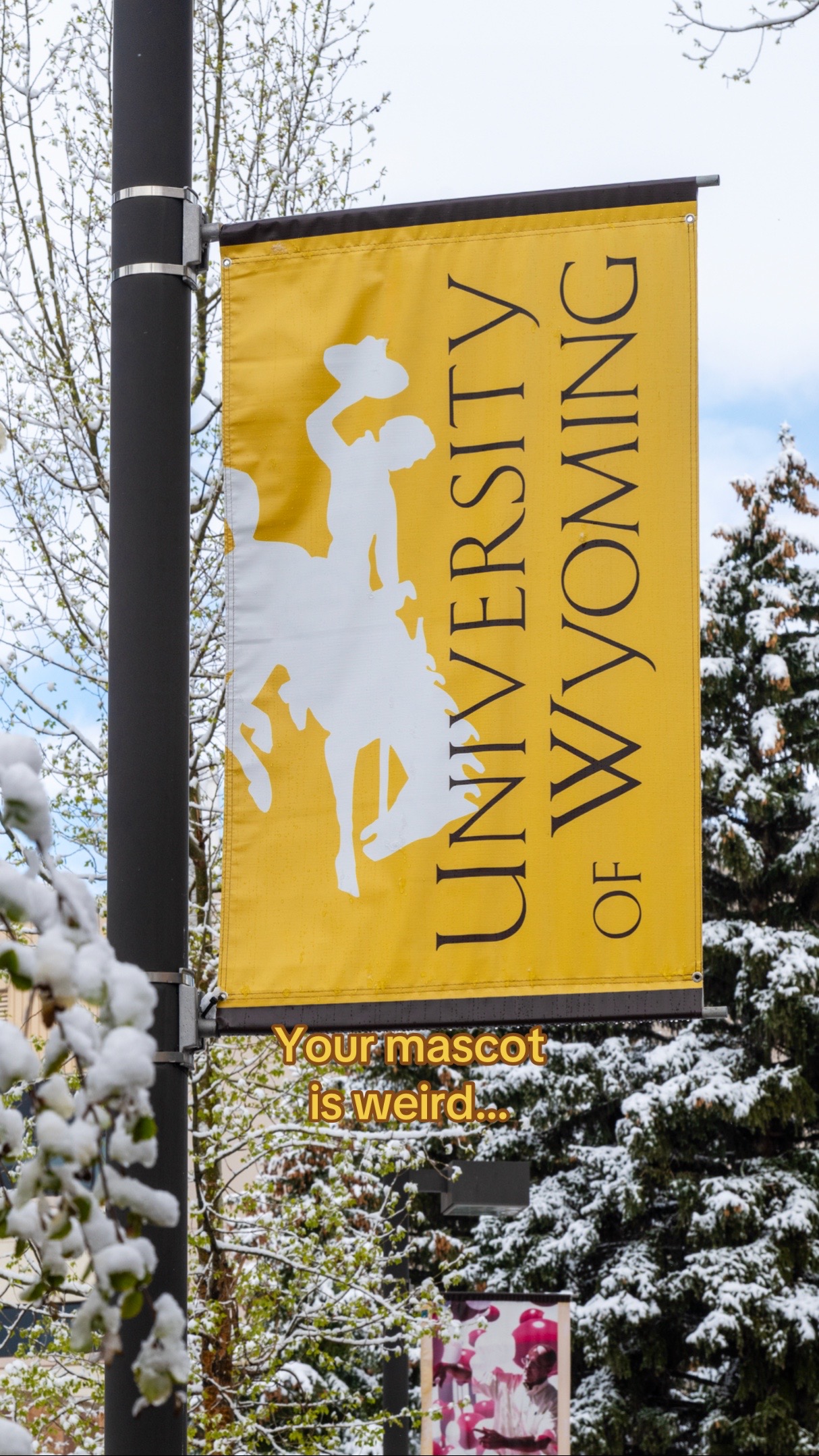 @University of Wyoming