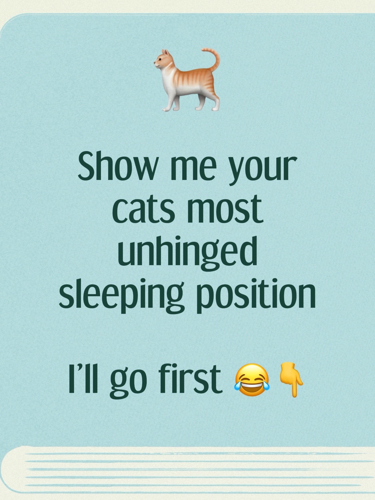 @TailsandWhiskersCo