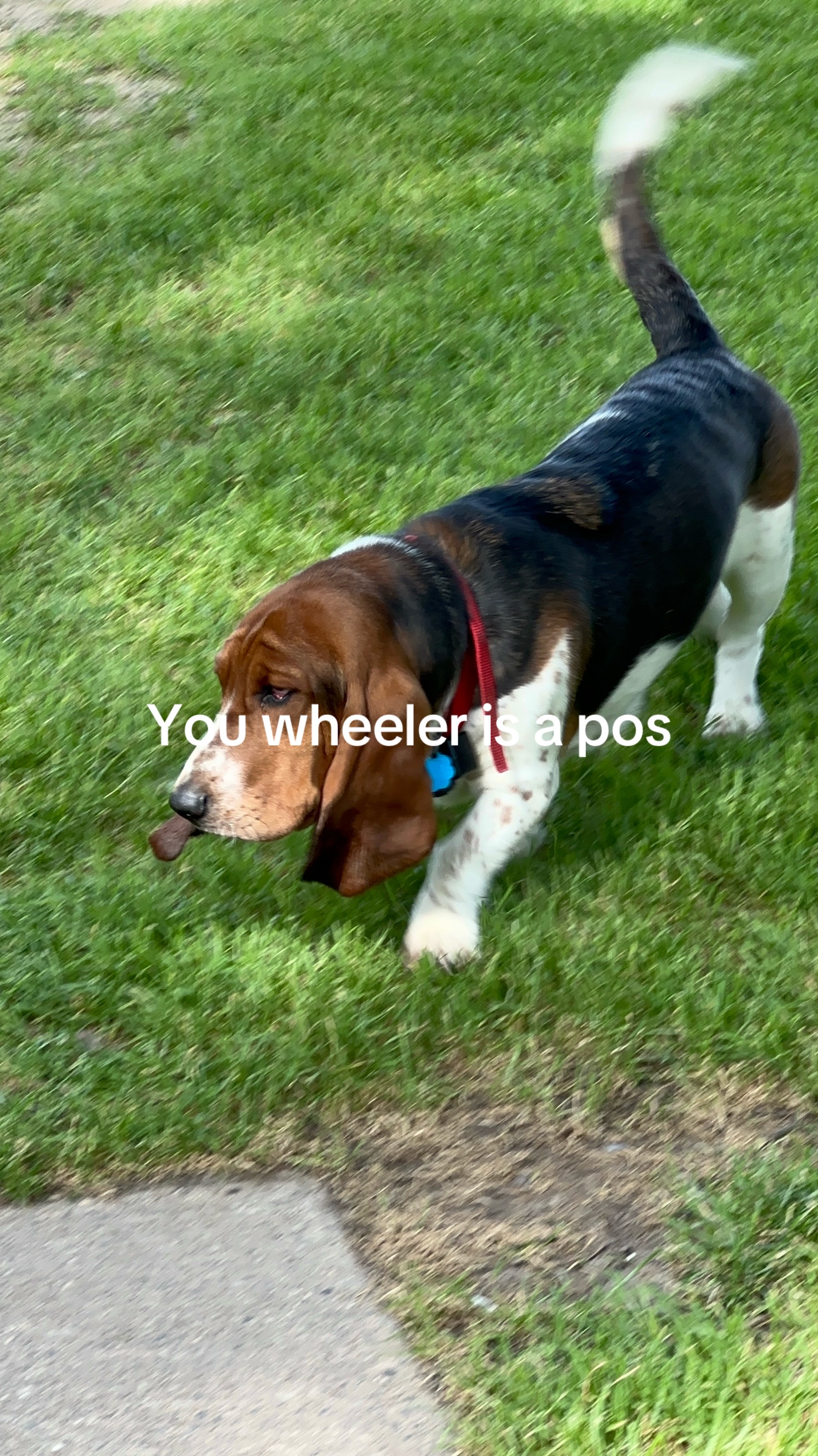@.