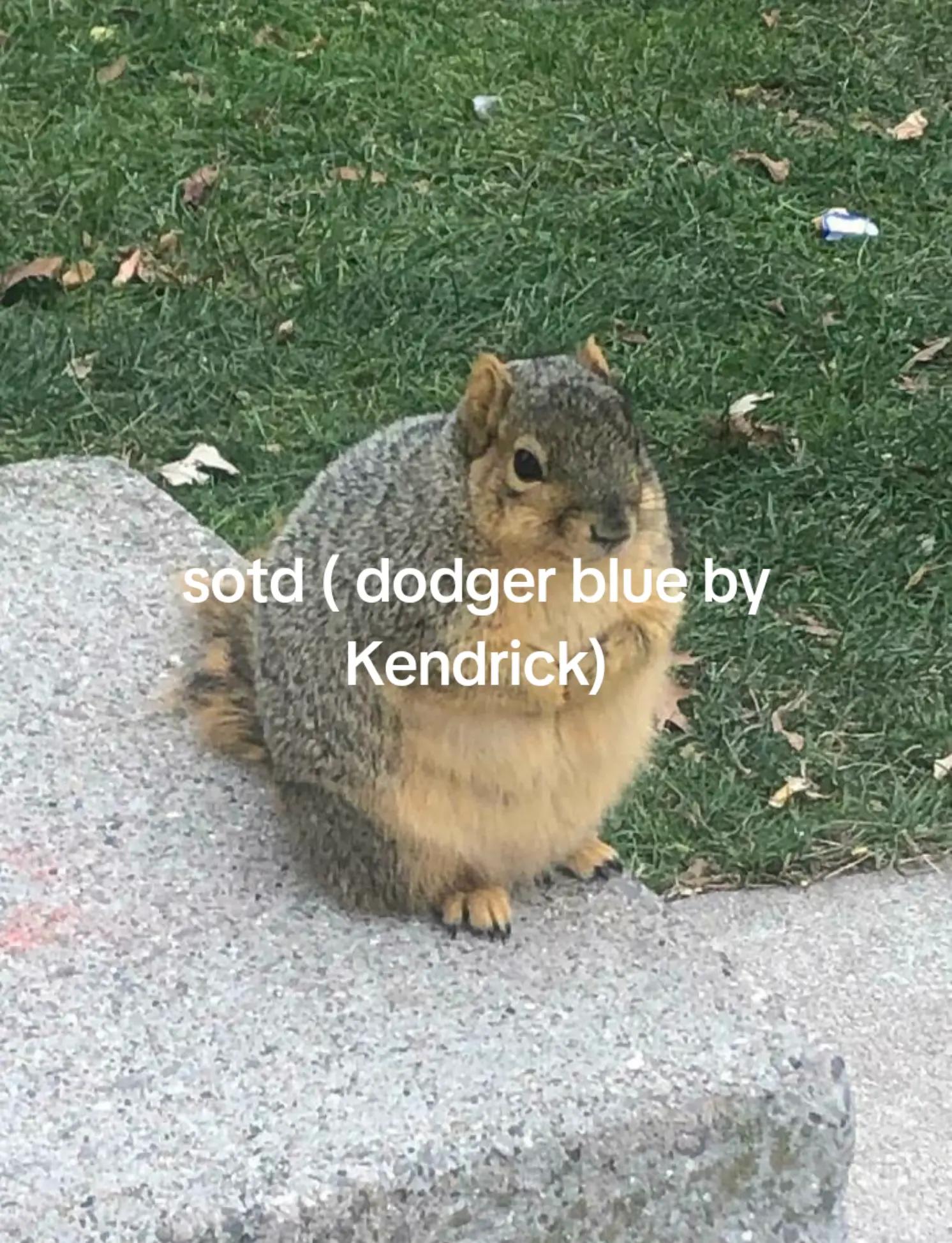 @MonkeyB01