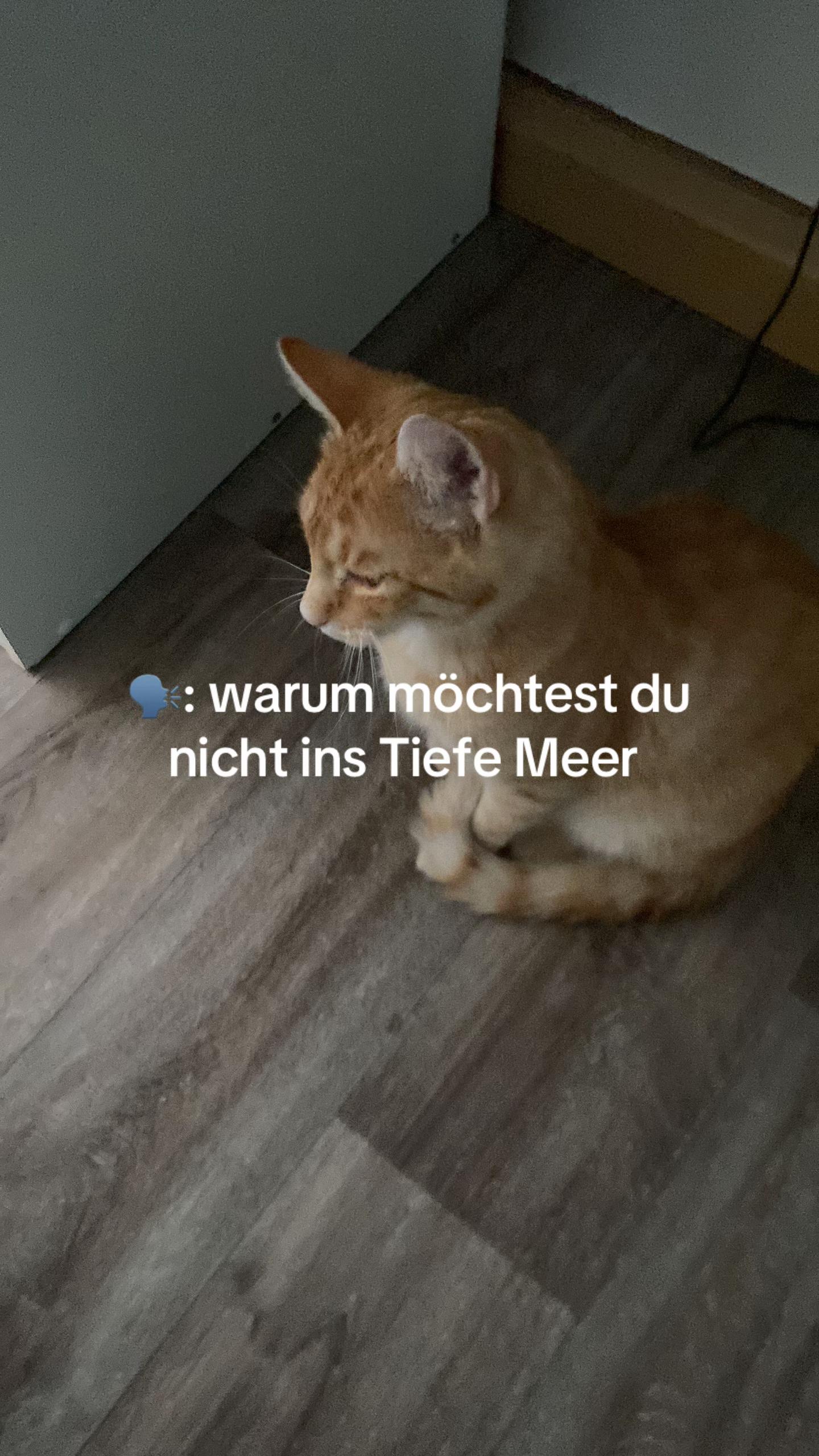 @M&lsquo;🍒🐅🪩