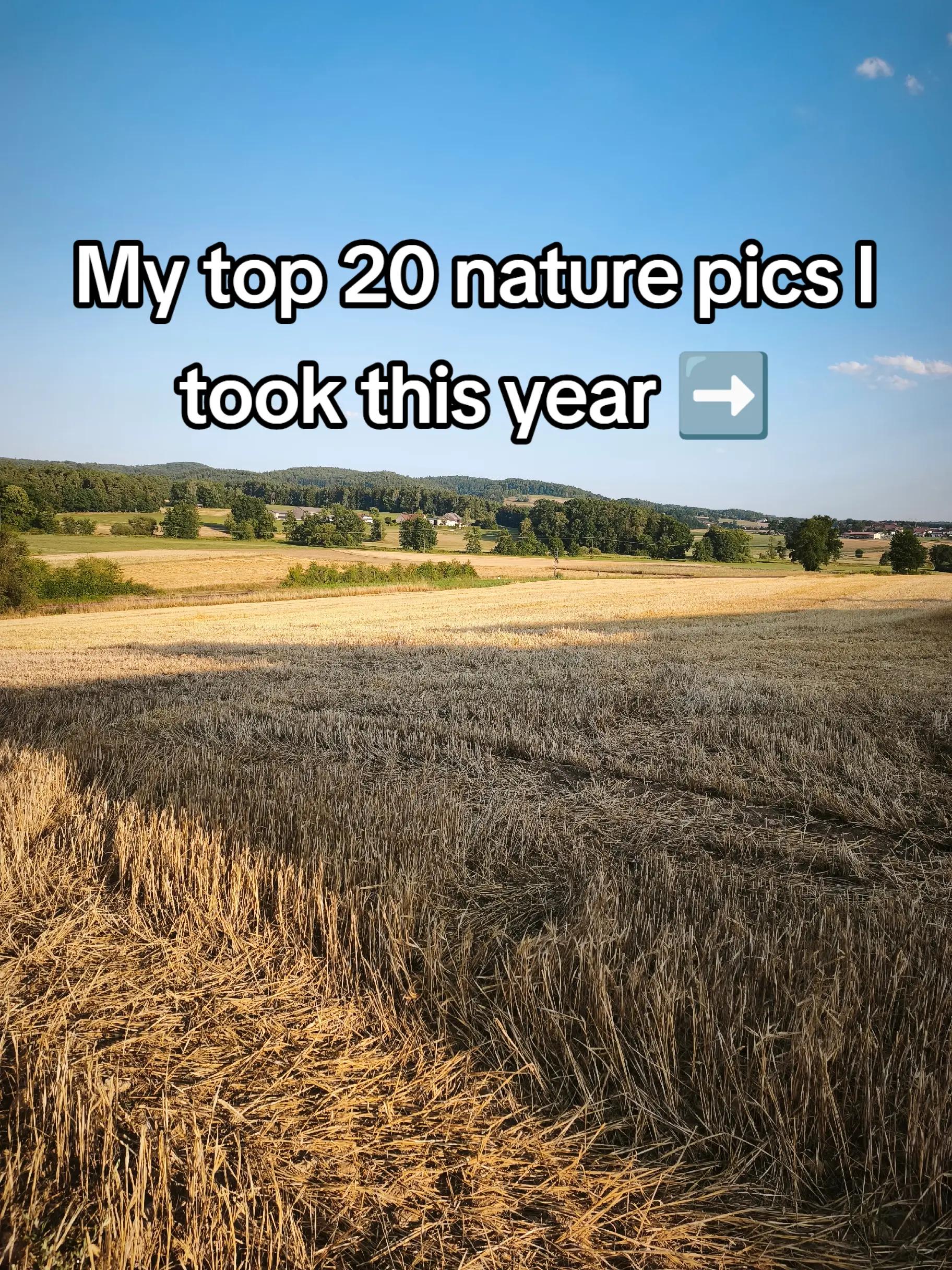 @nature.enjoyerᛉ