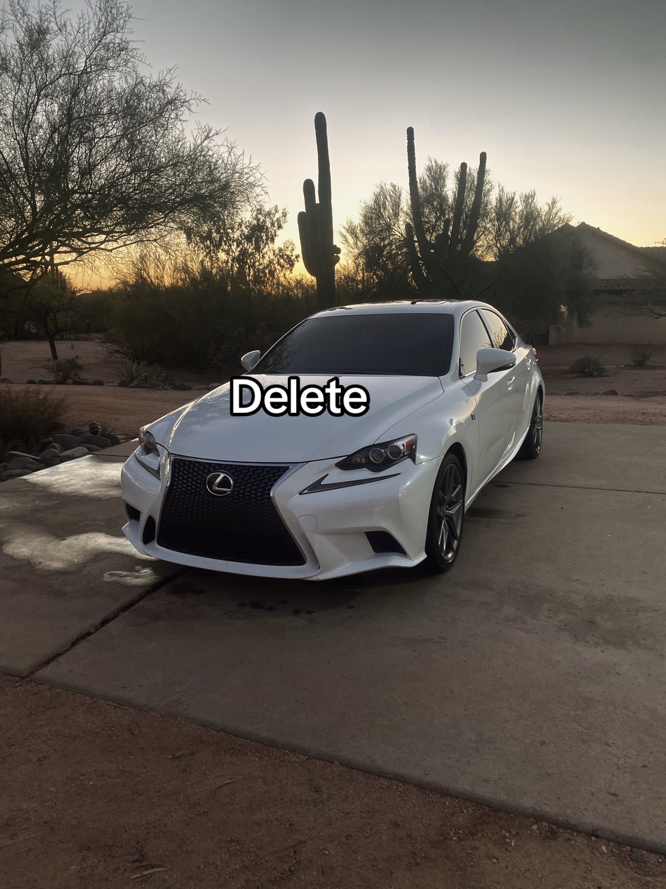 @quattro_octo