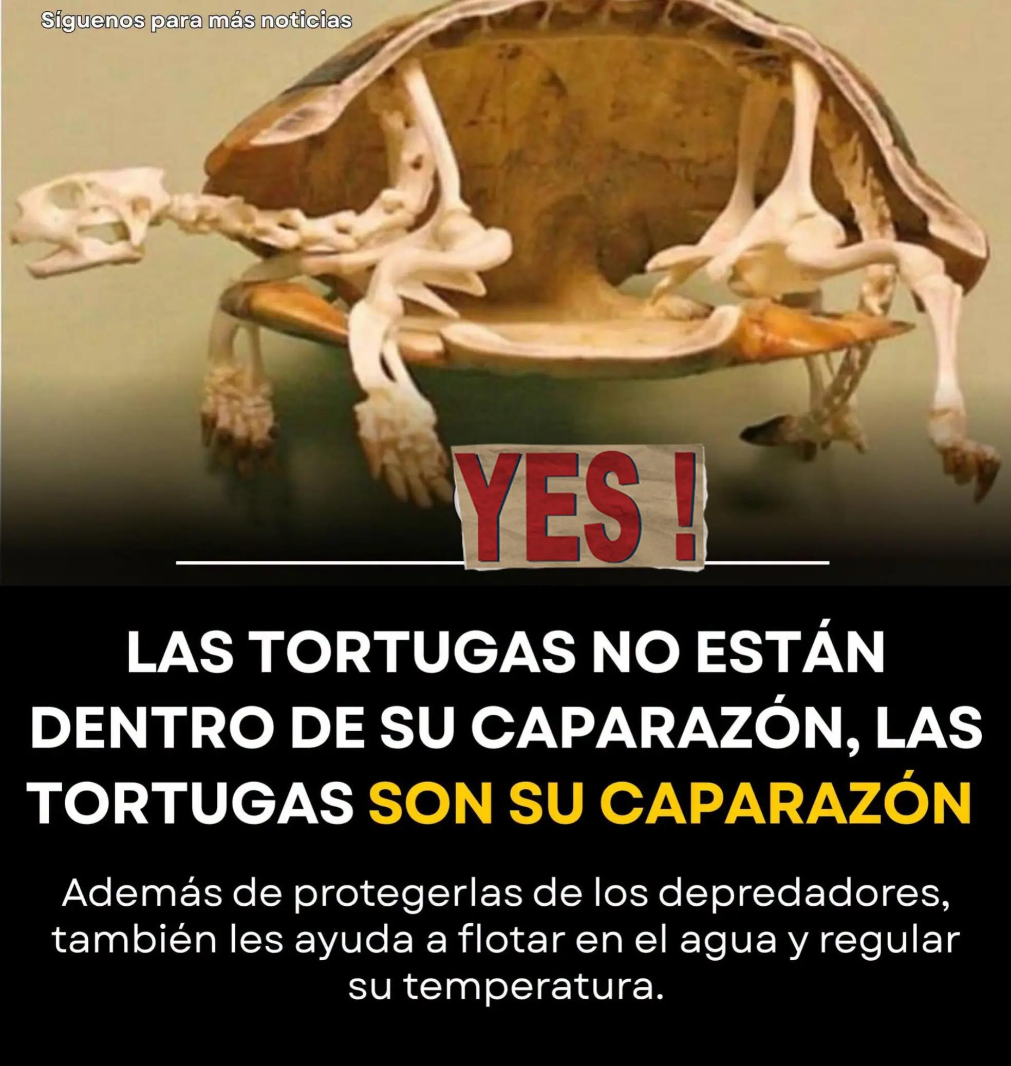 @😇 LORY