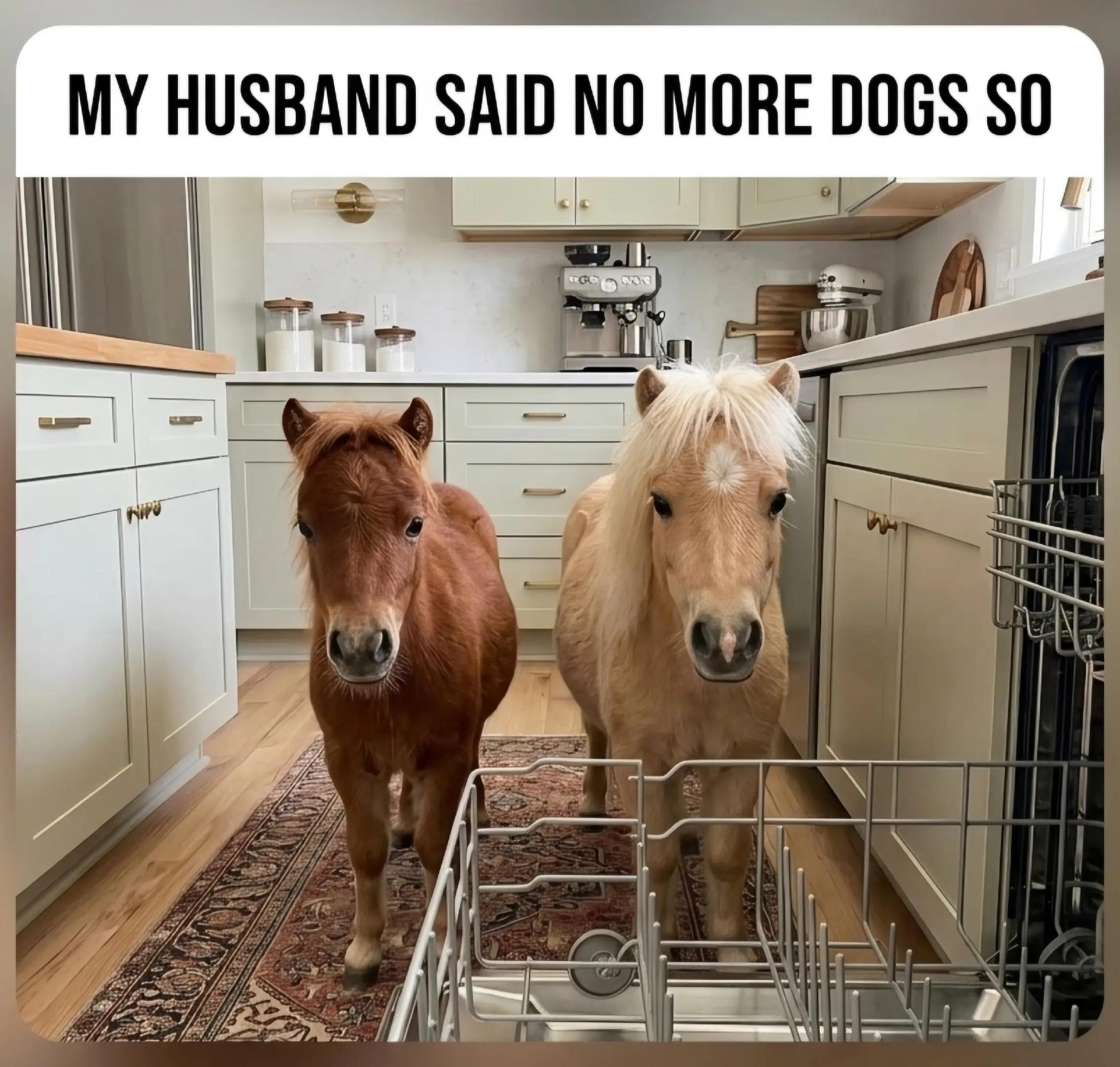 @streamhorse