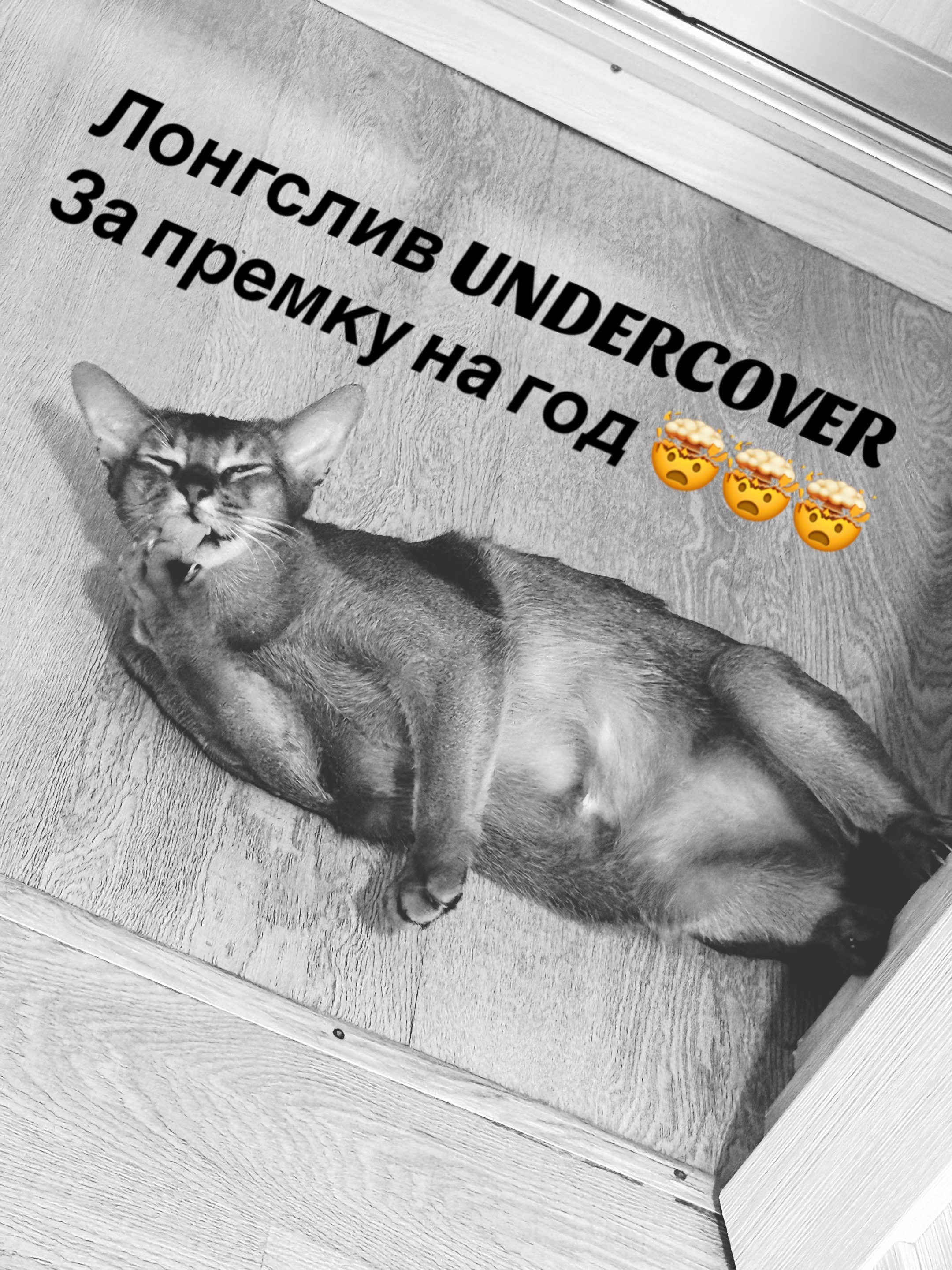 @TG: Sus_Shop63