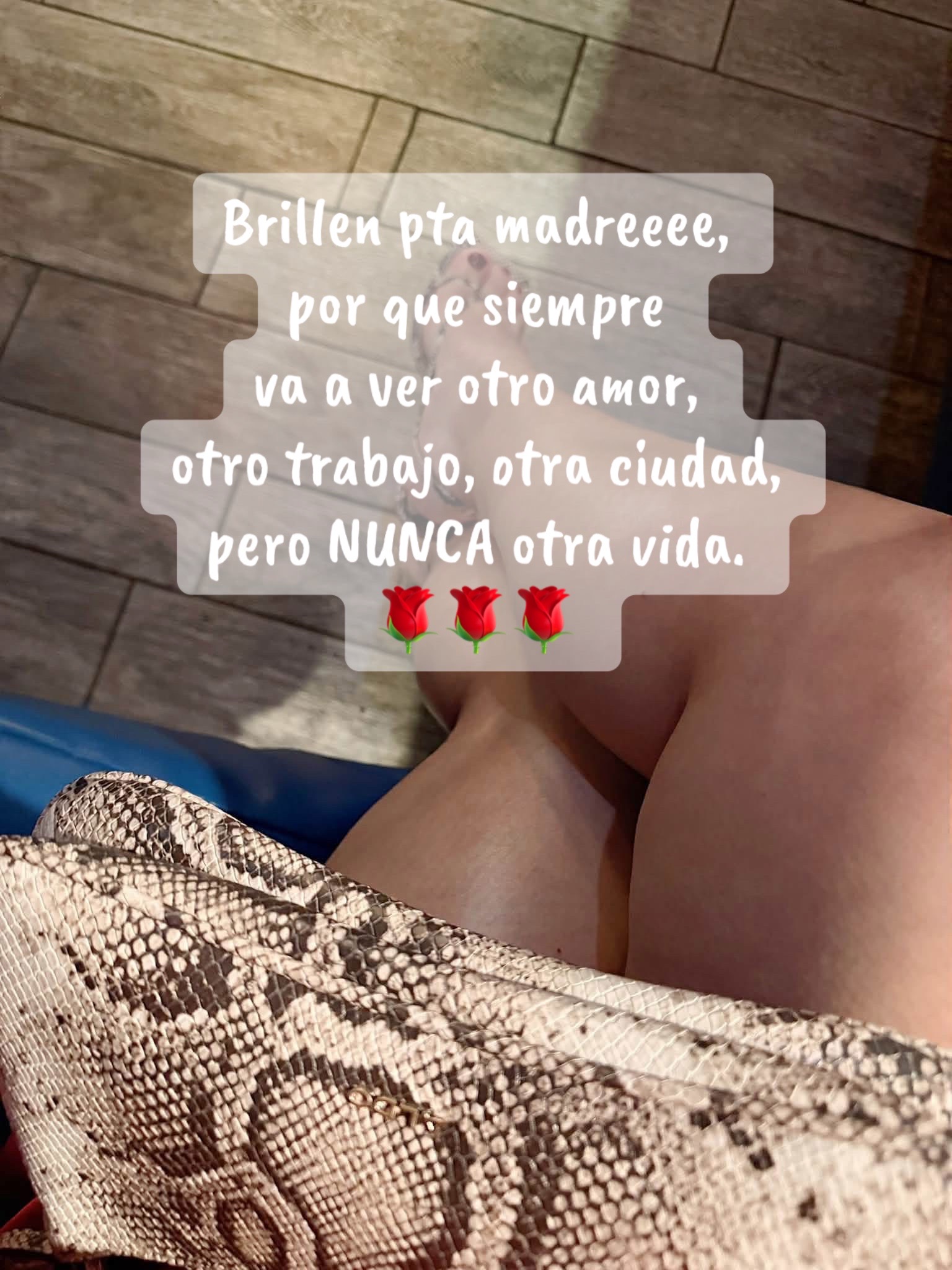 @Carmen M. Orozco