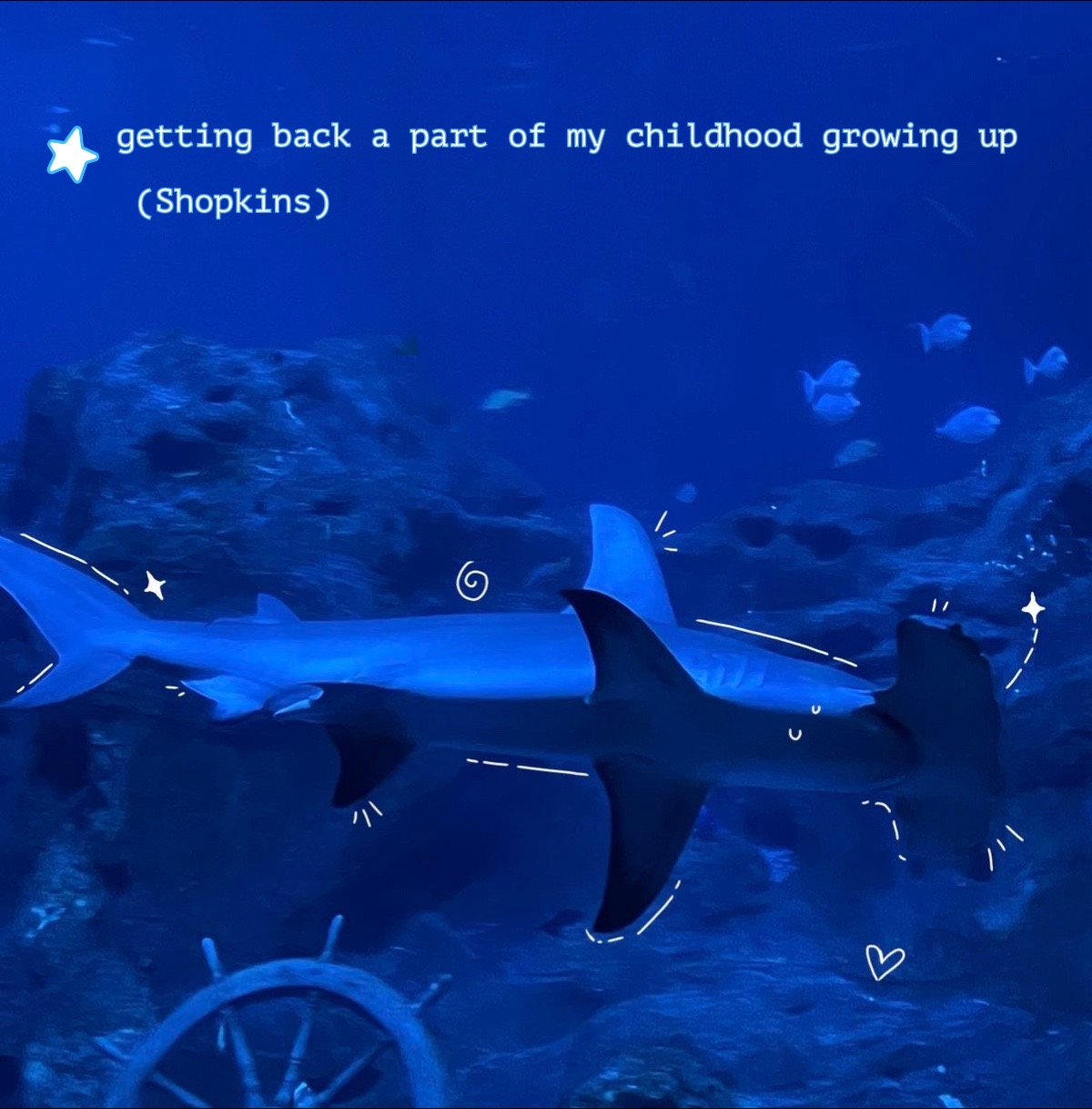 @𝒞ℯ𝓇𝓊✩