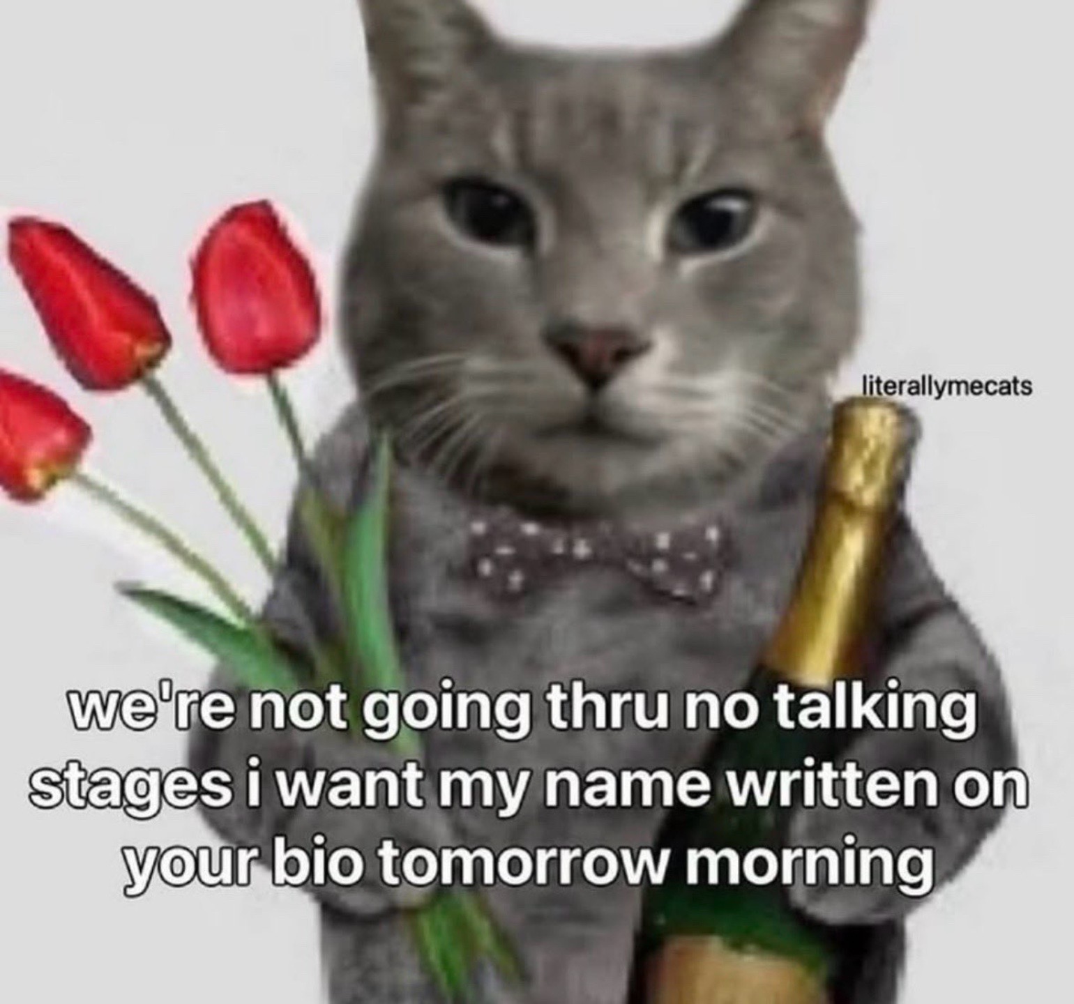 @Pluto Macintosh
