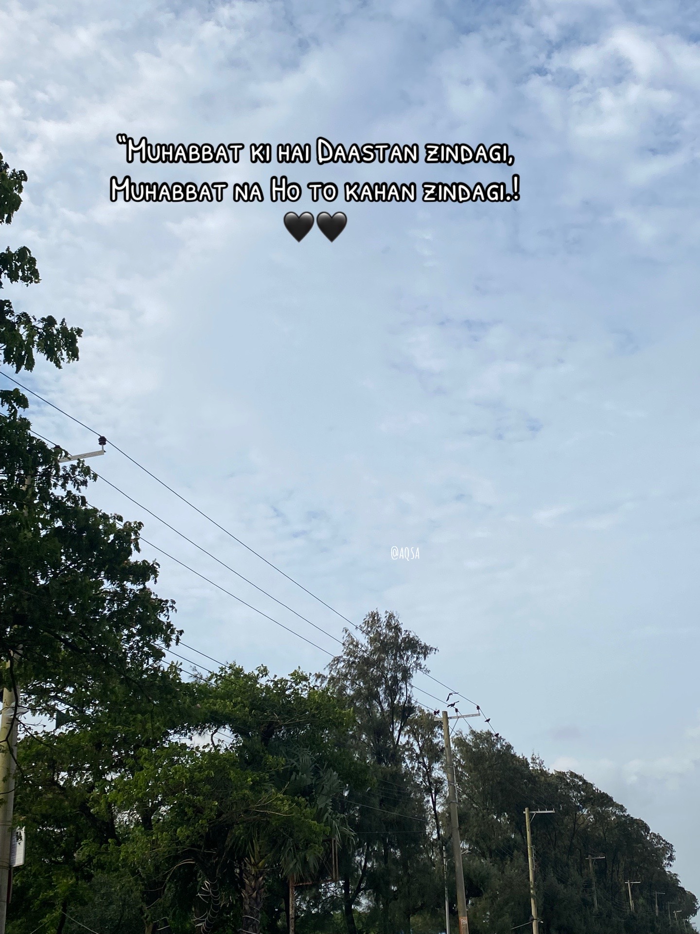 @_aksa.aa_🤎