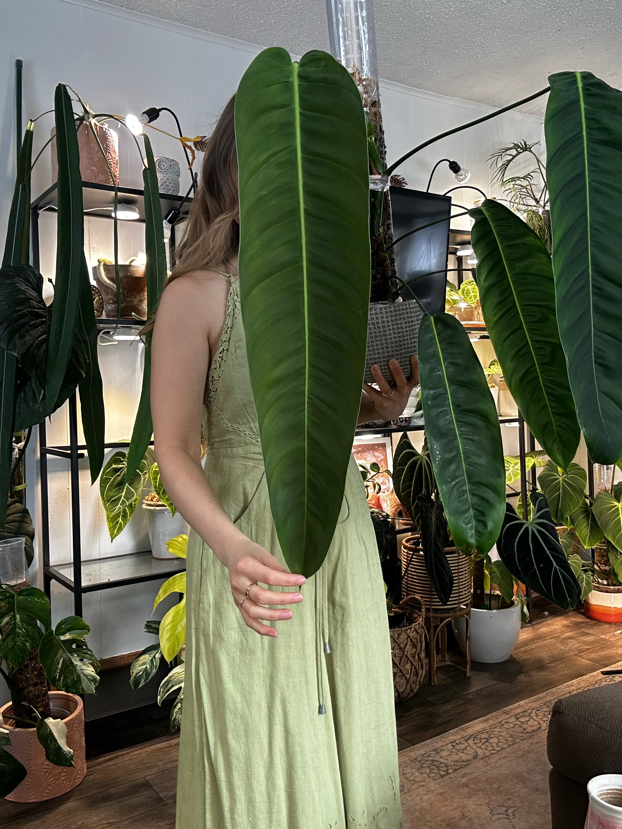 @theplantgirl_diaries
