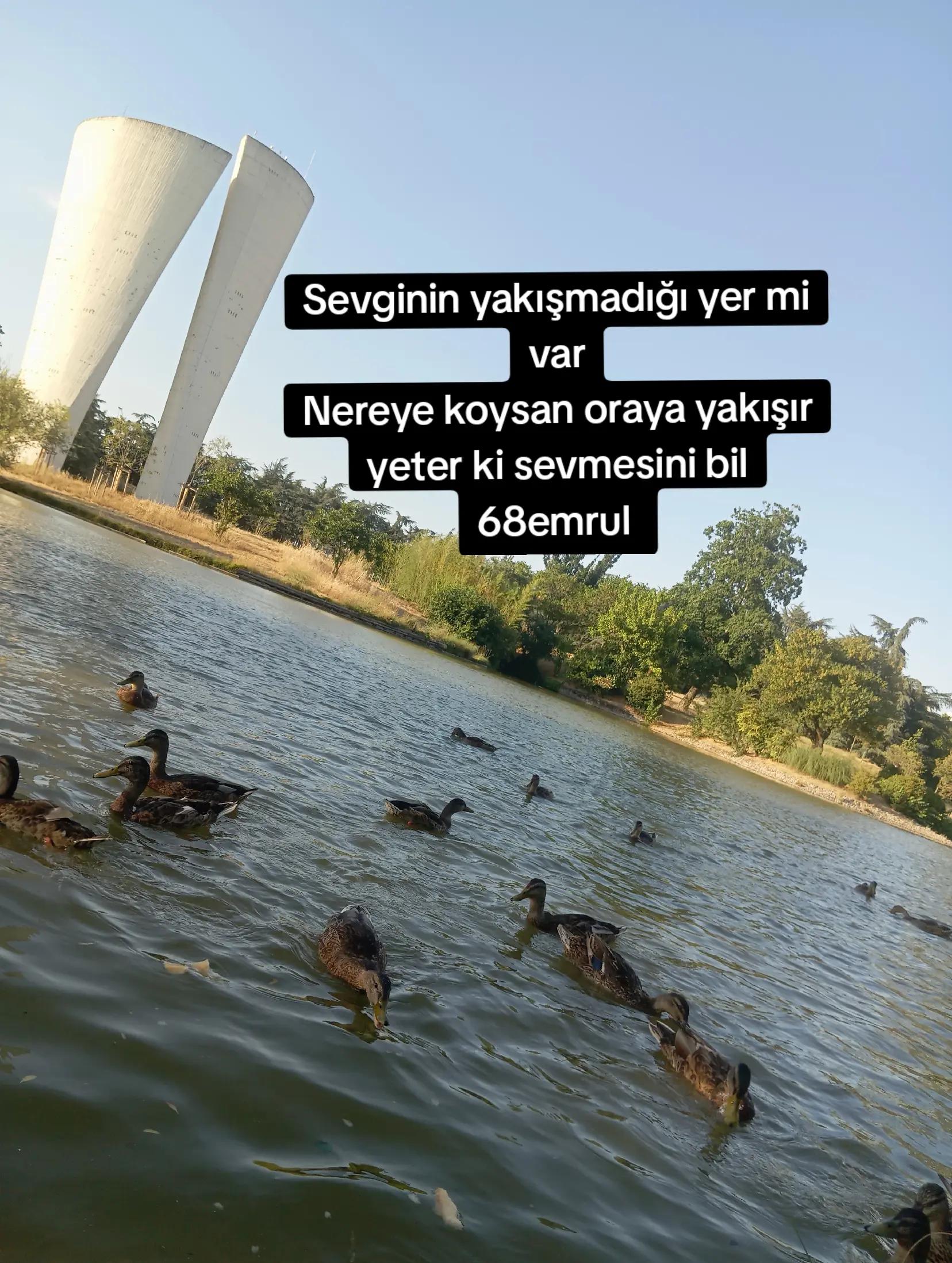 @68emrul