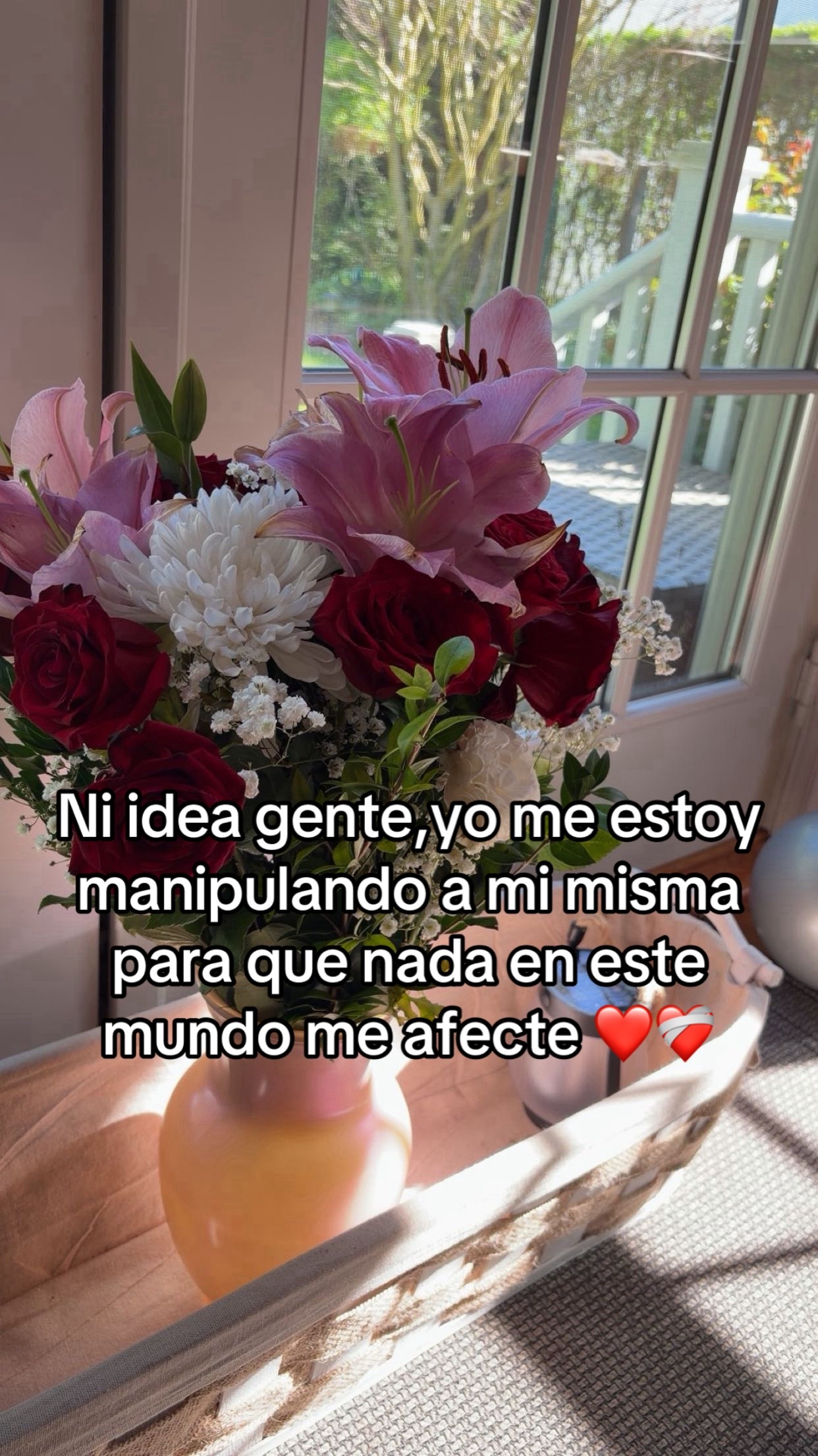 @️Alana #504