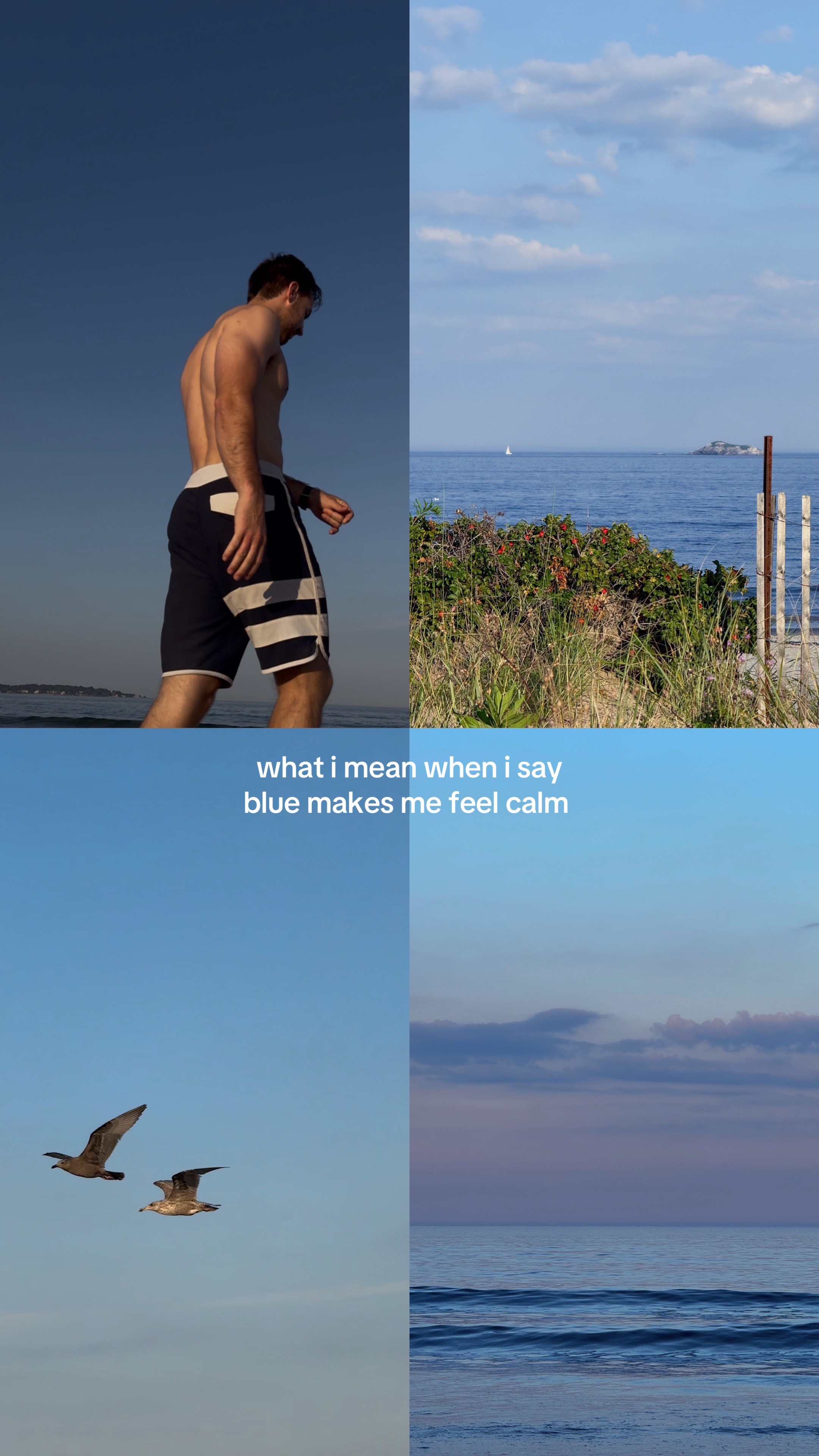 @capsulemems