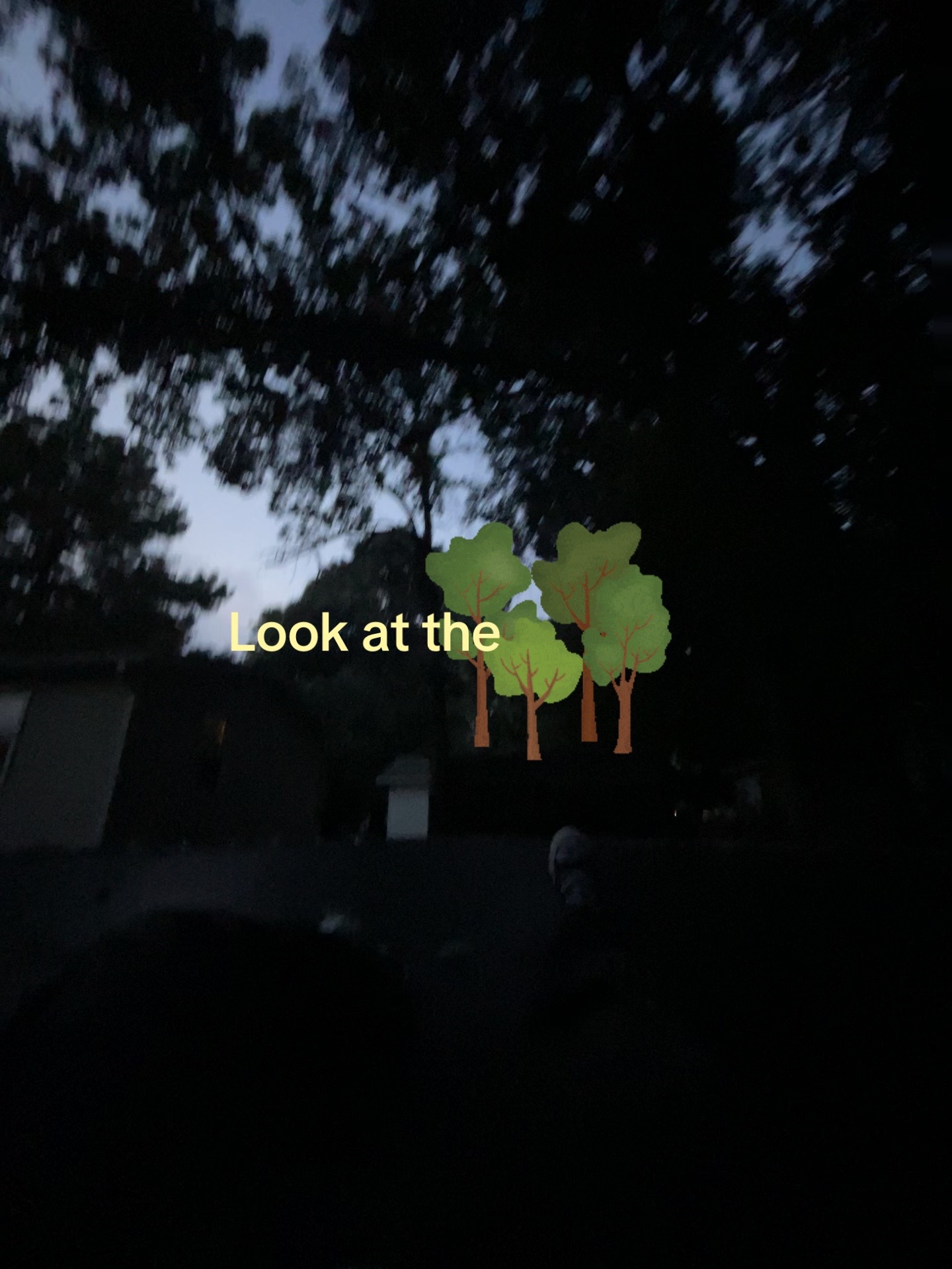 @і᥎ᥲᥒ⋆. 𐙚🦇🌀˚