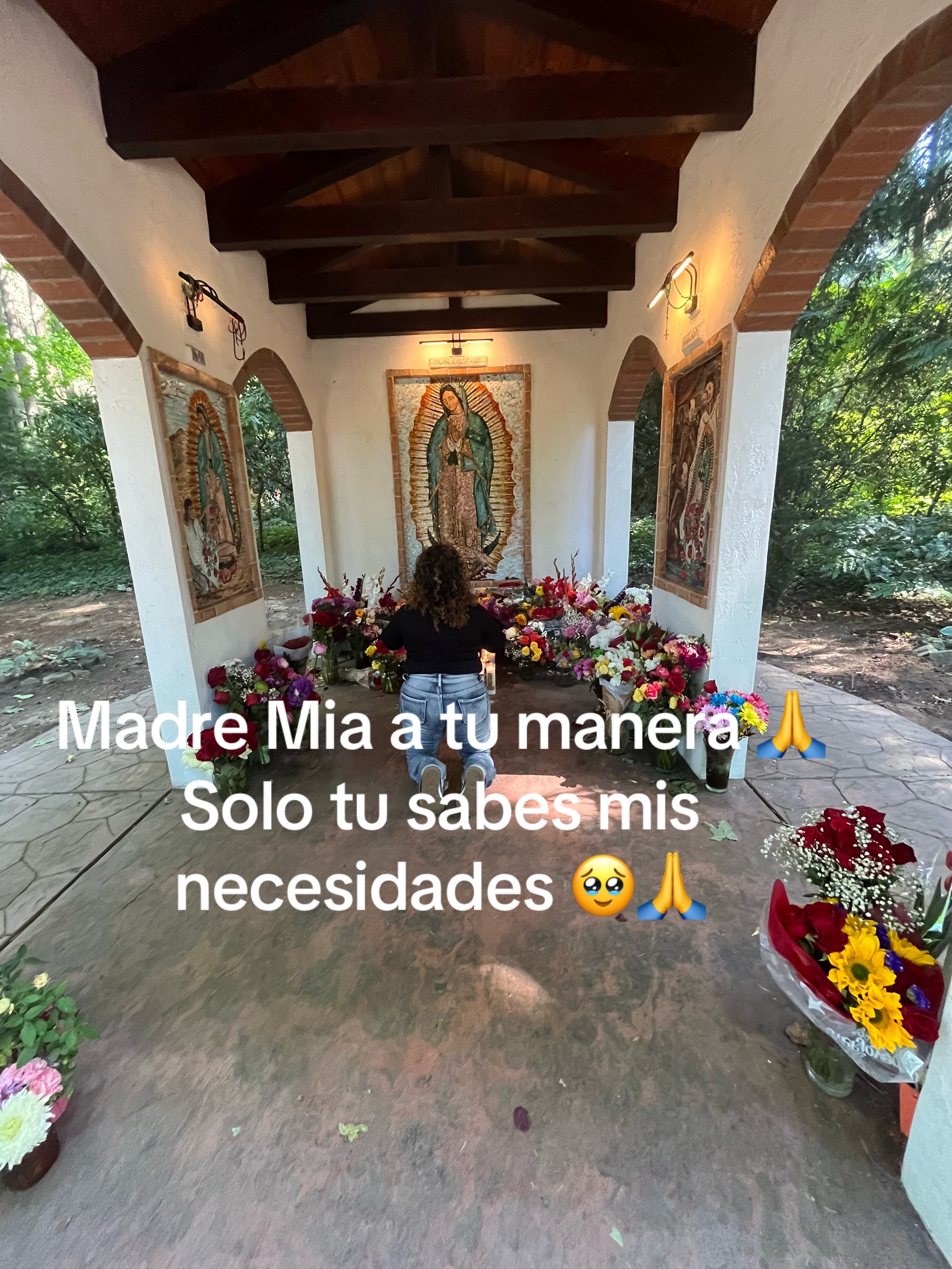 @La chapis🖤🥑