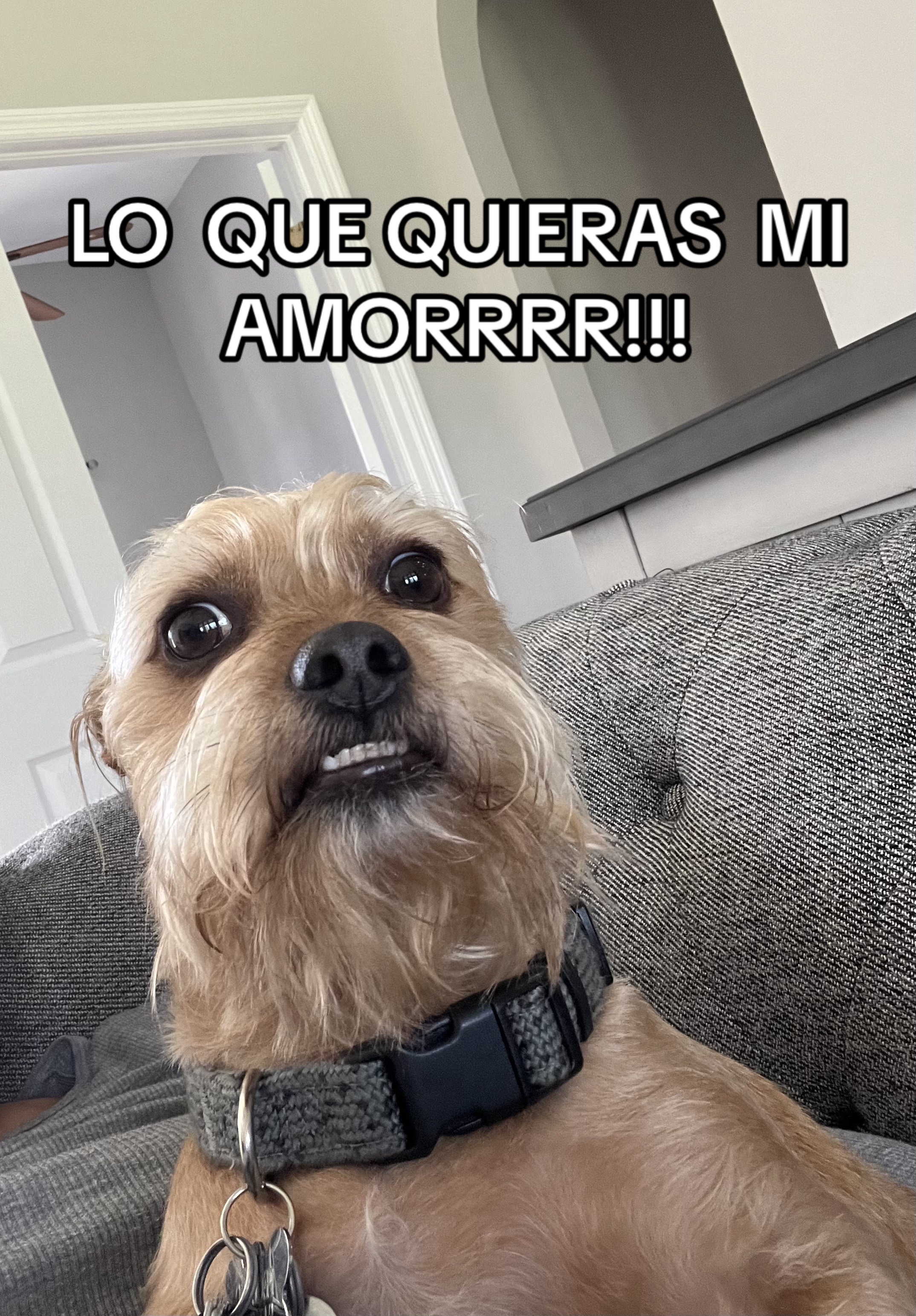 @Ariii🎀