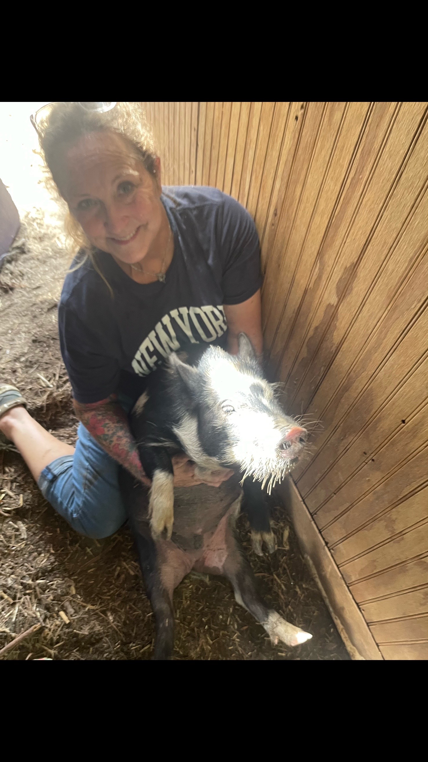 @Amy’s Acres Rescue/Sanctuary🐽