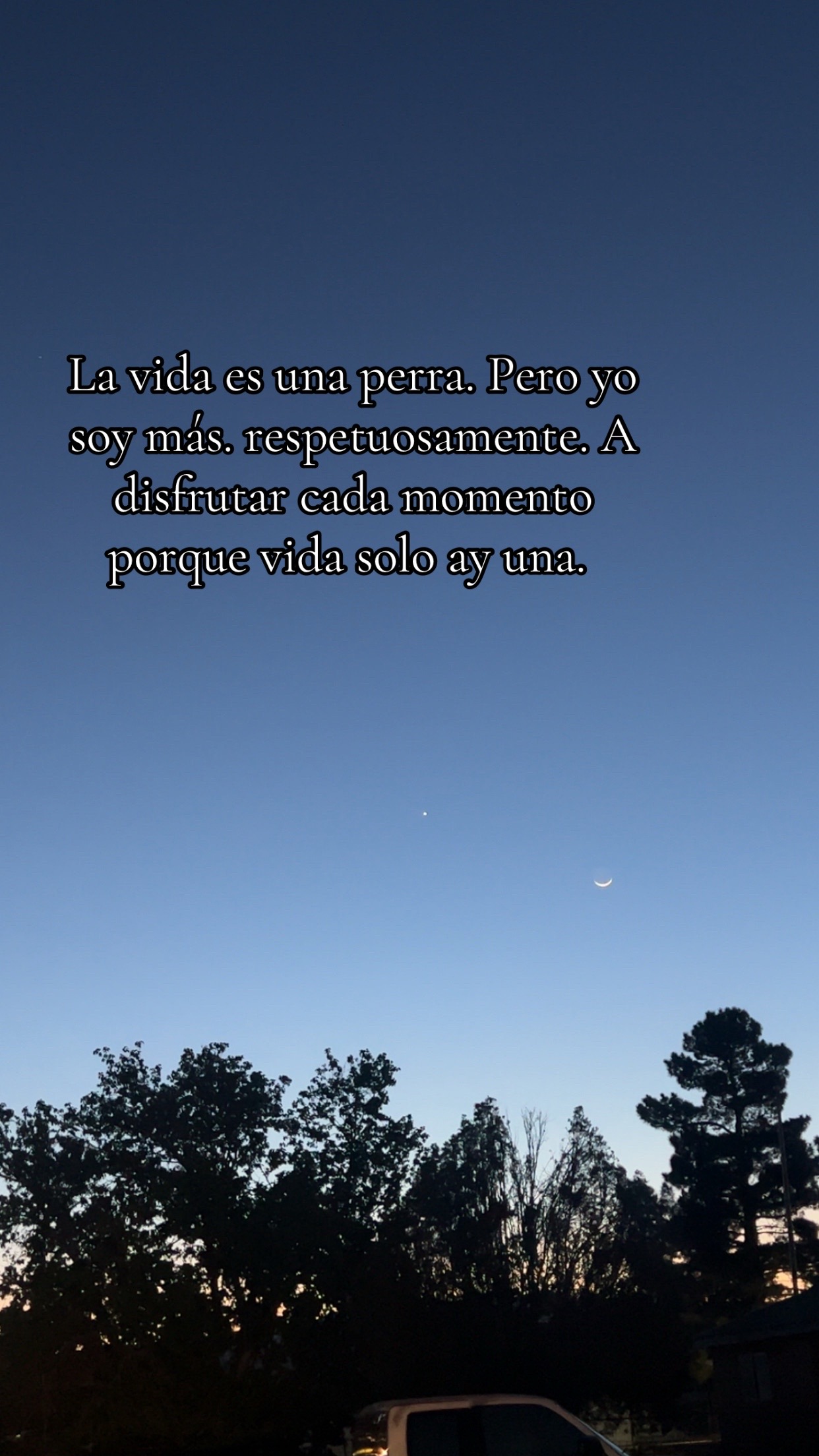 @Llami 🧿