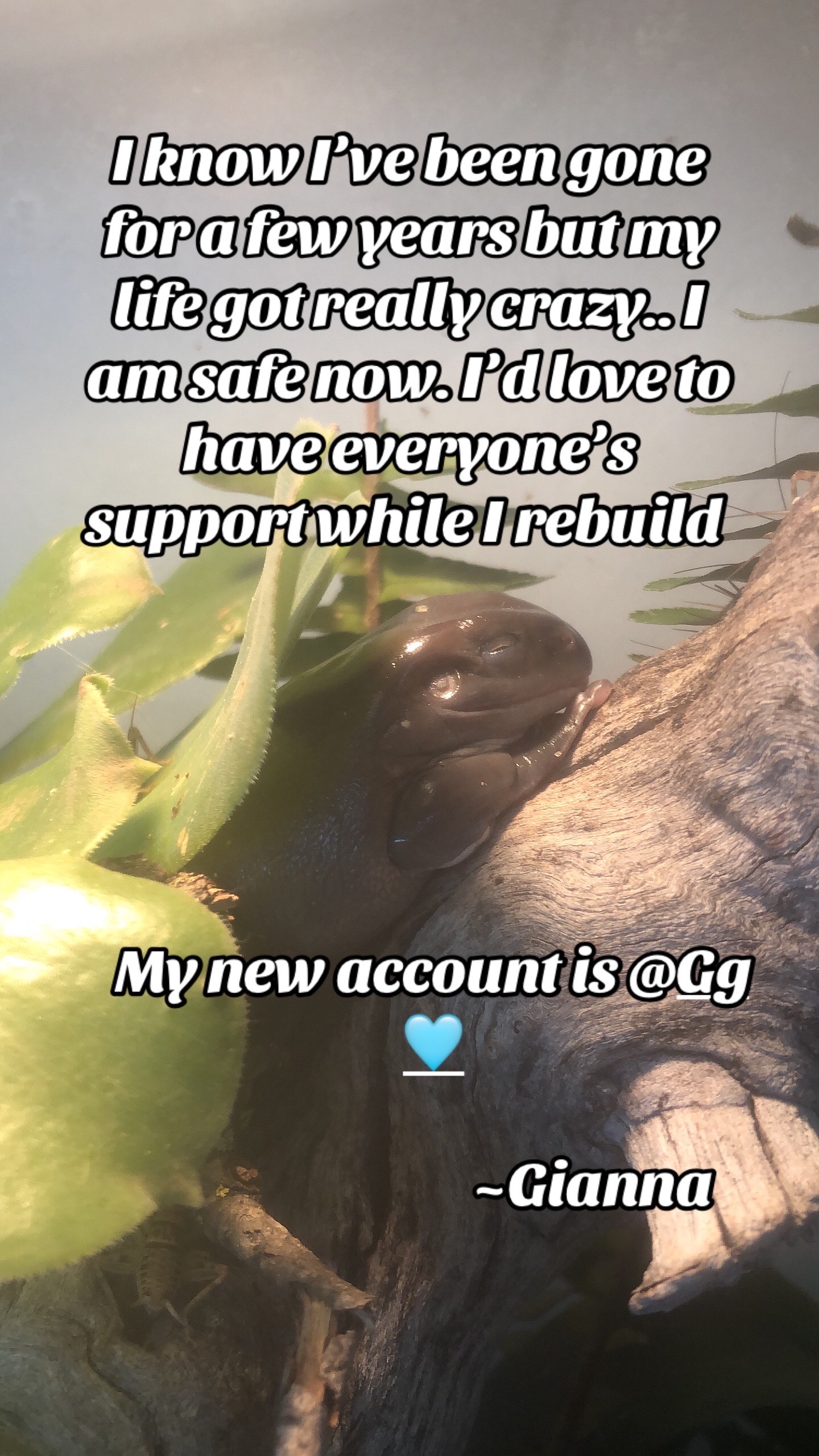 @Ggs Backup