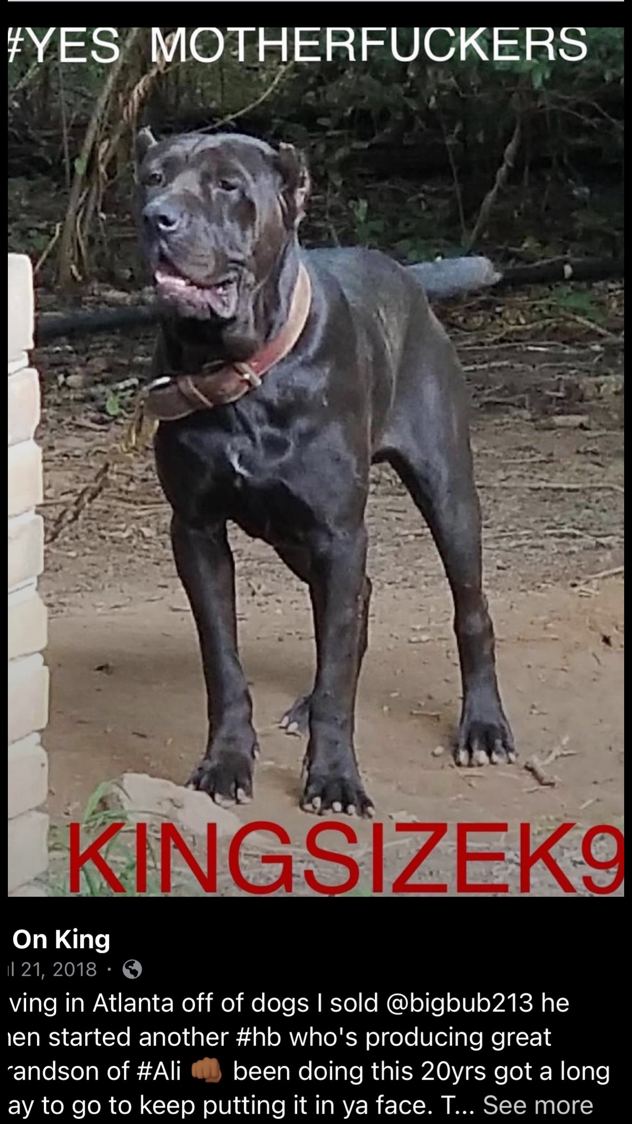 @KingCorso