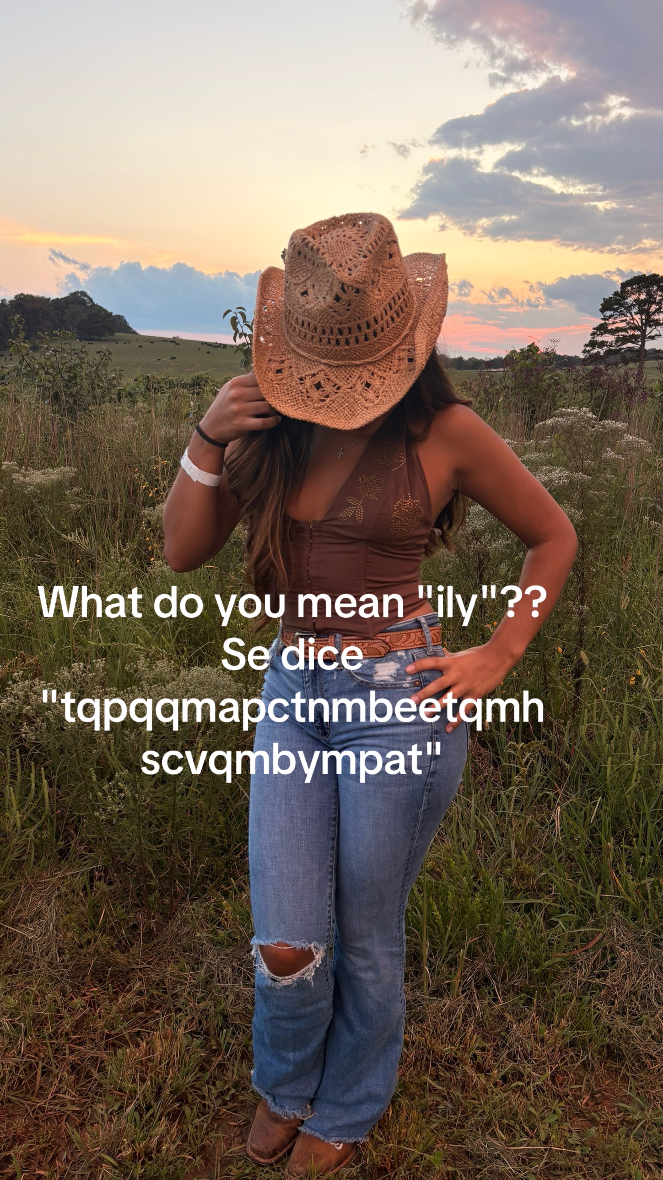 @✨🪽