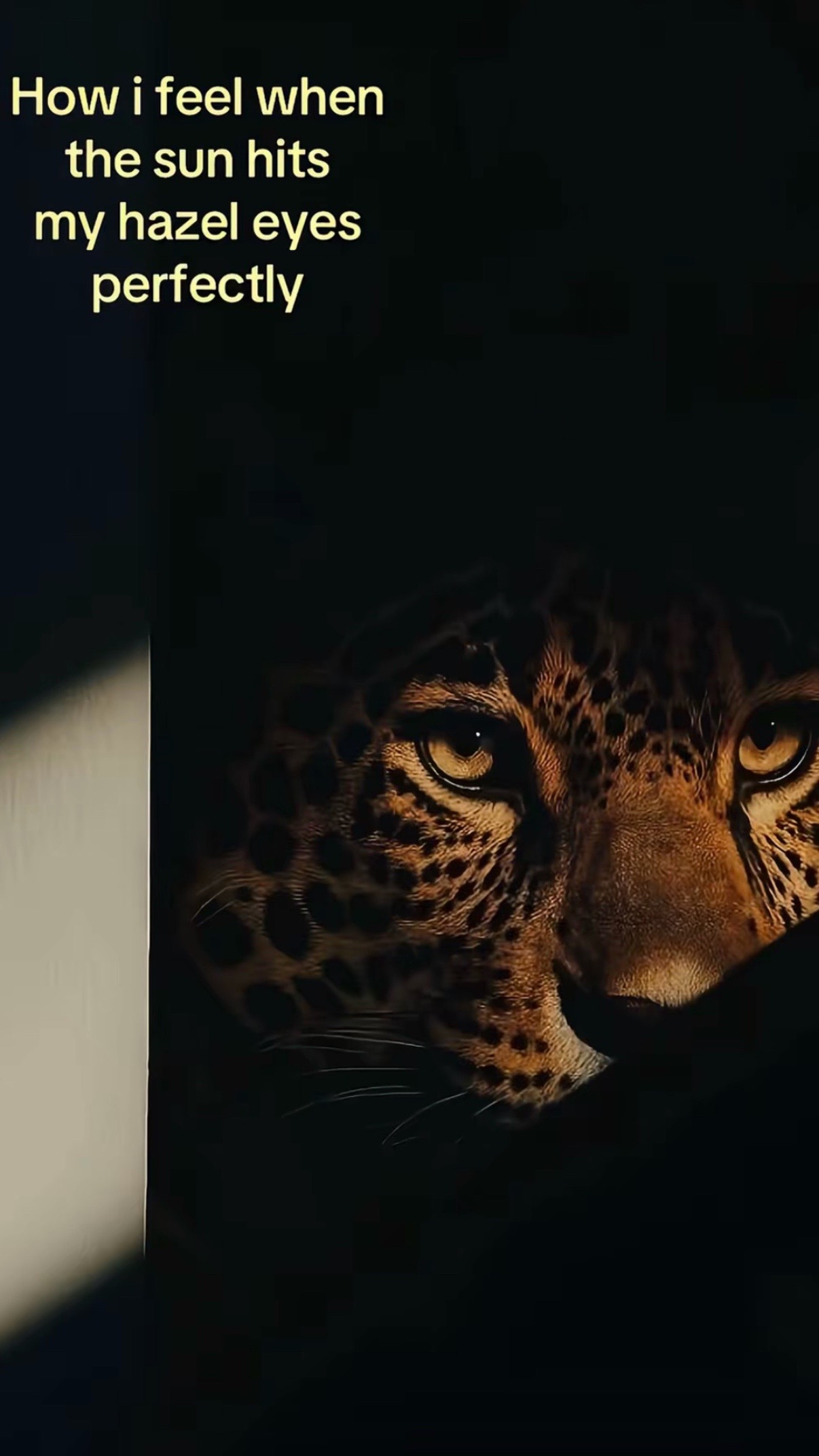 @𝑹𝒐𝒙𝒂𝒏𝒂 𝑯𝒅𝒆𝒛 ྀིྀི