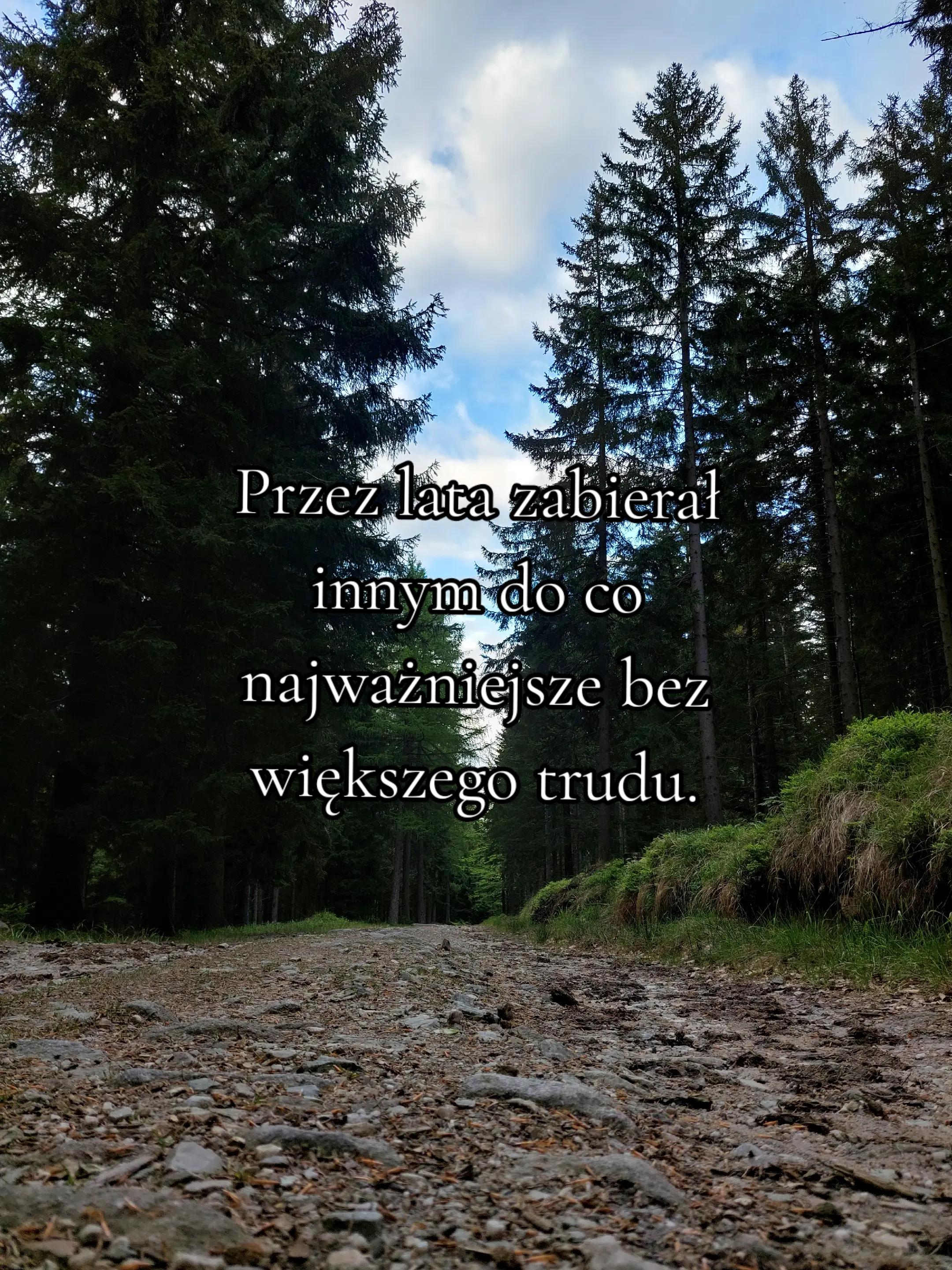 @pansz0p