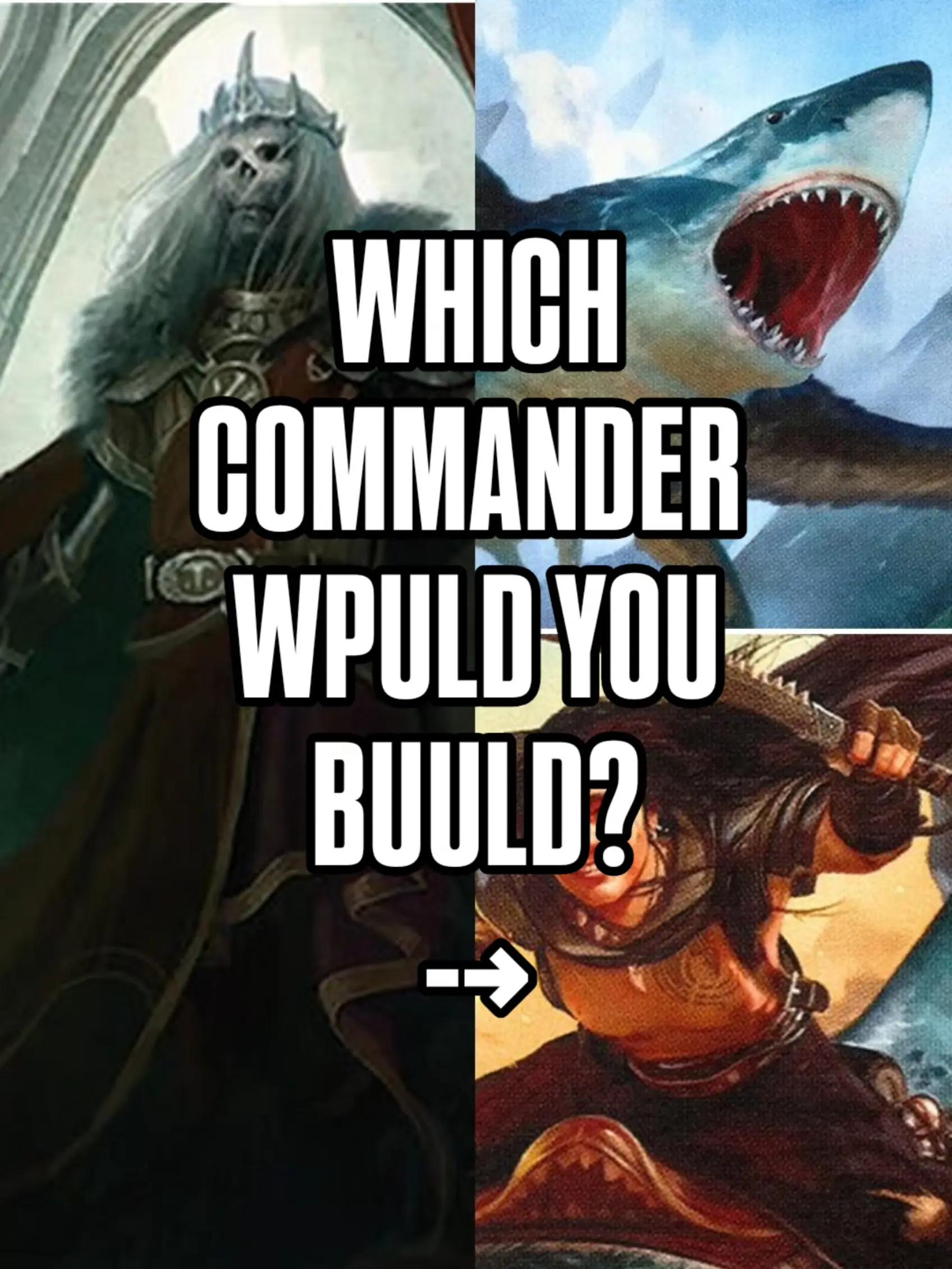 @That TCG Guy