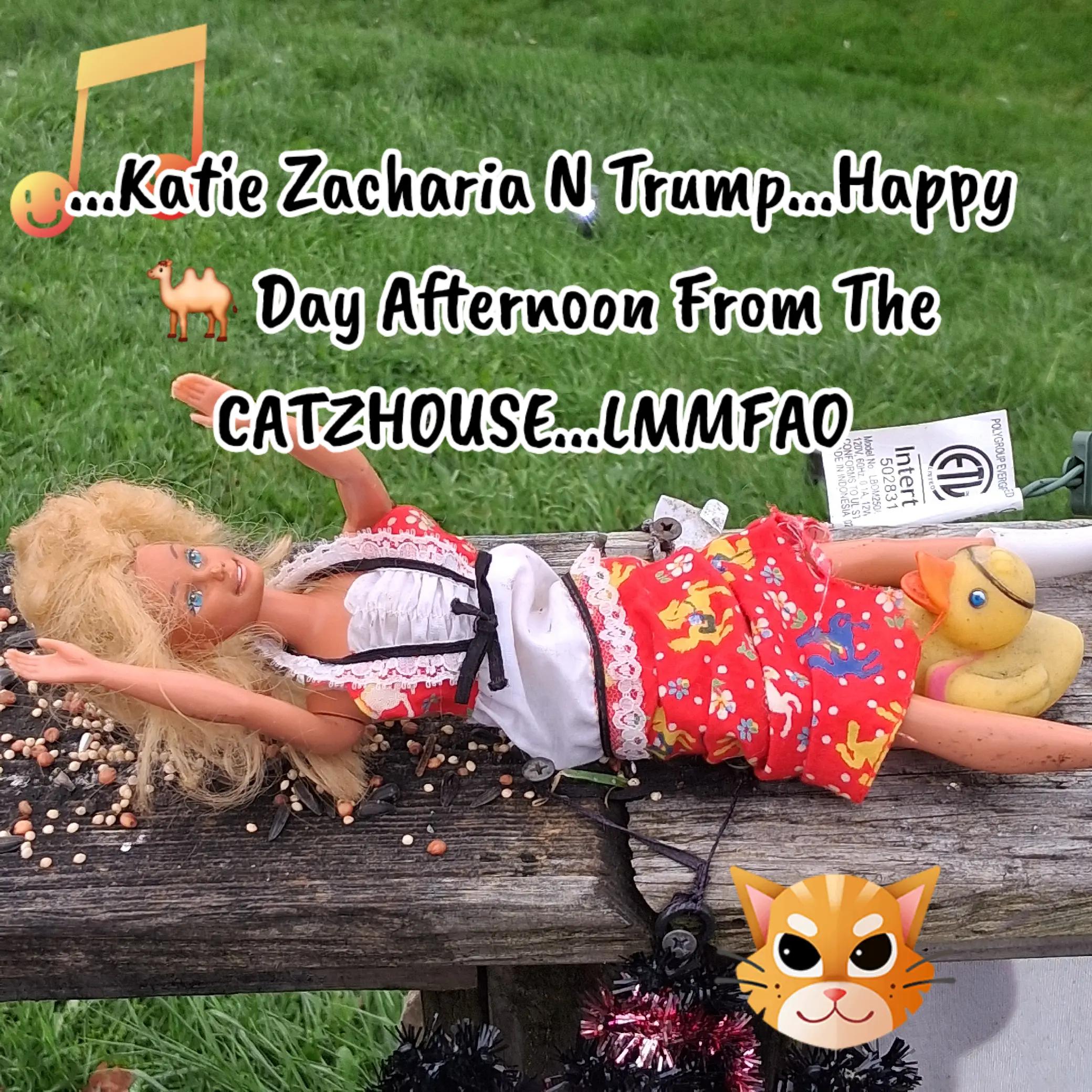 @Booh Hovey crazycatlady3