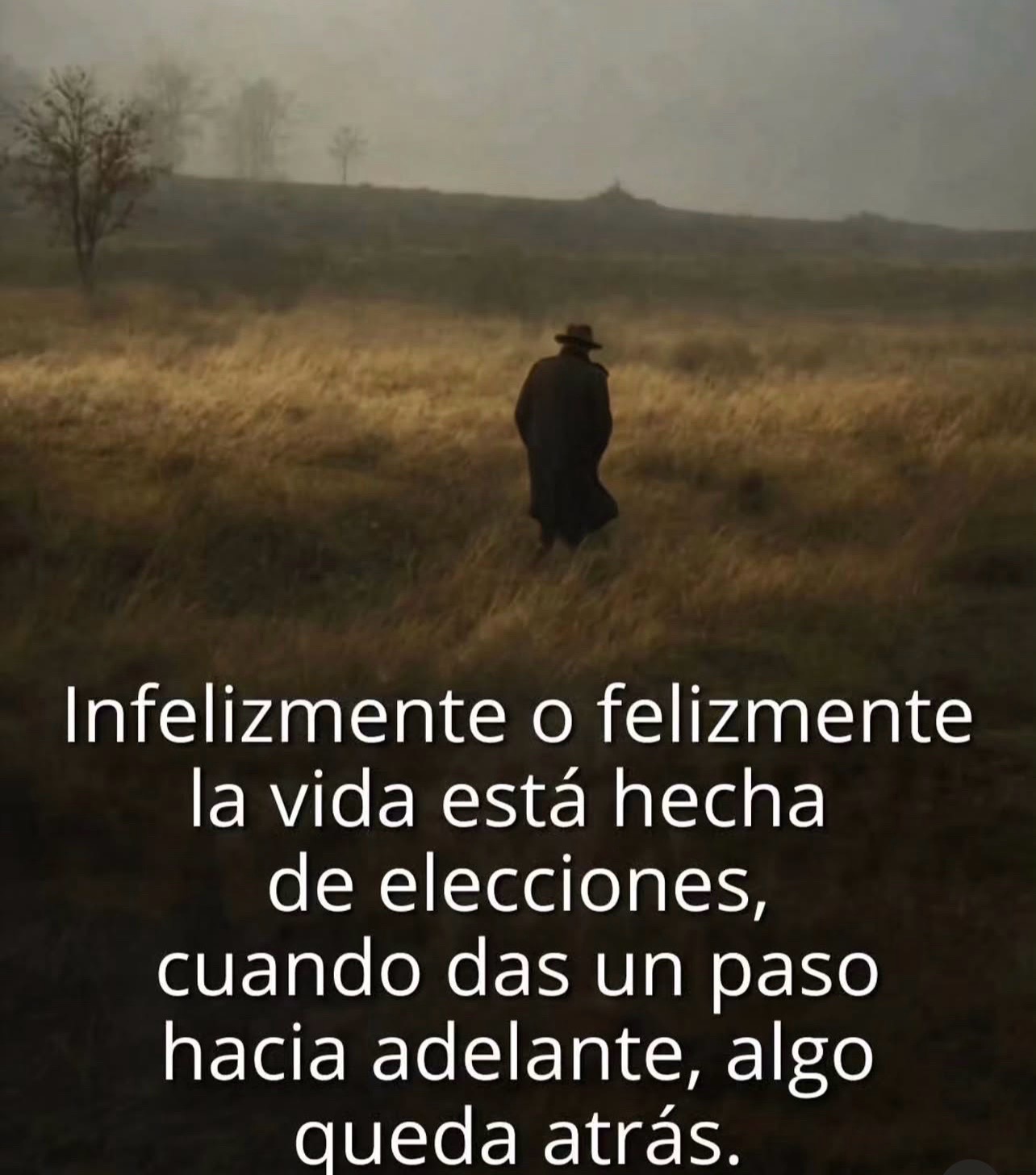 @Glenis