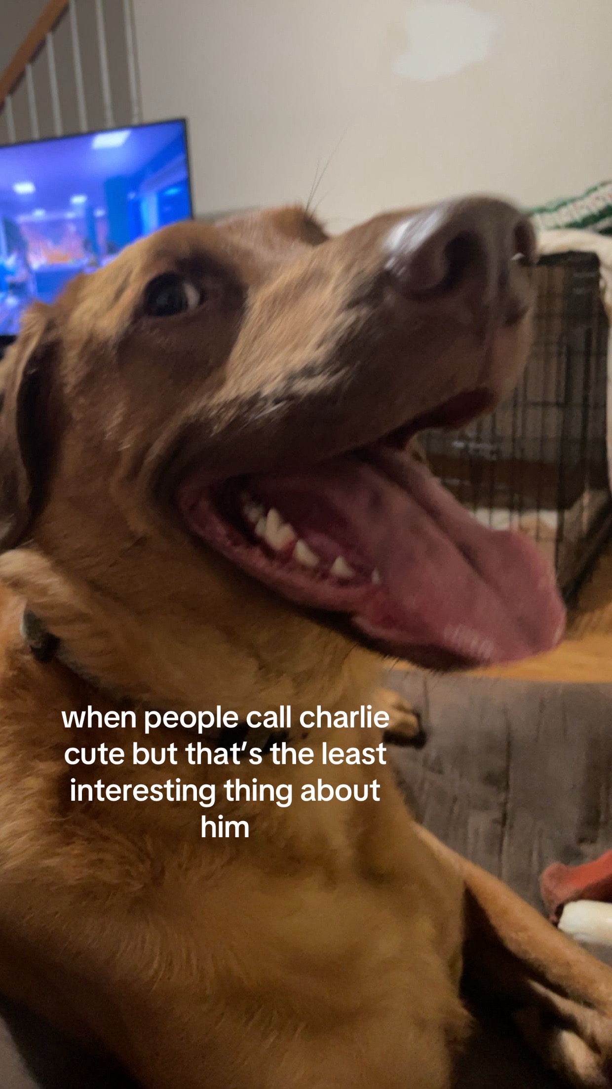 @jor
