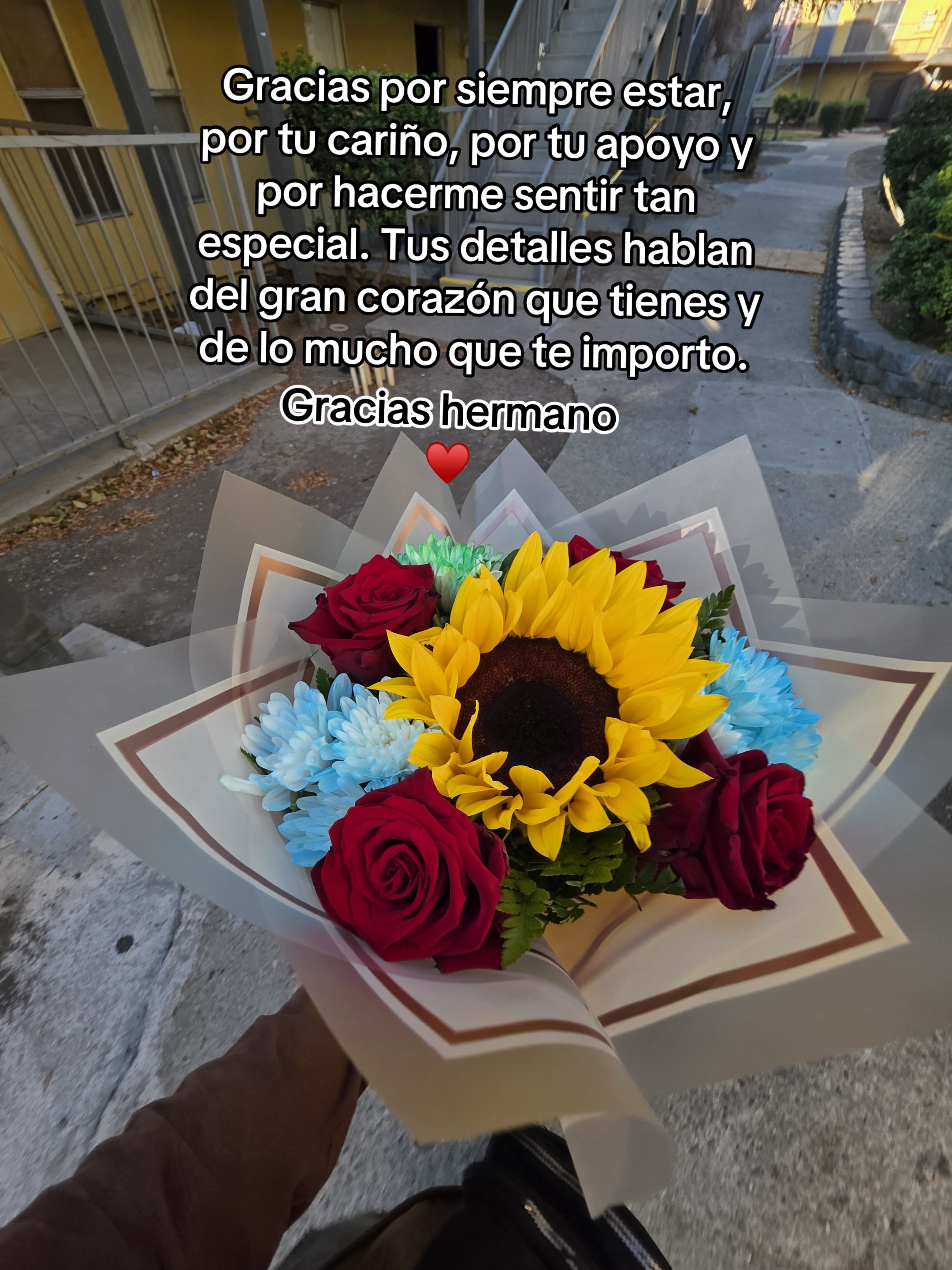 @🌸🦋Claudy🦋🌸