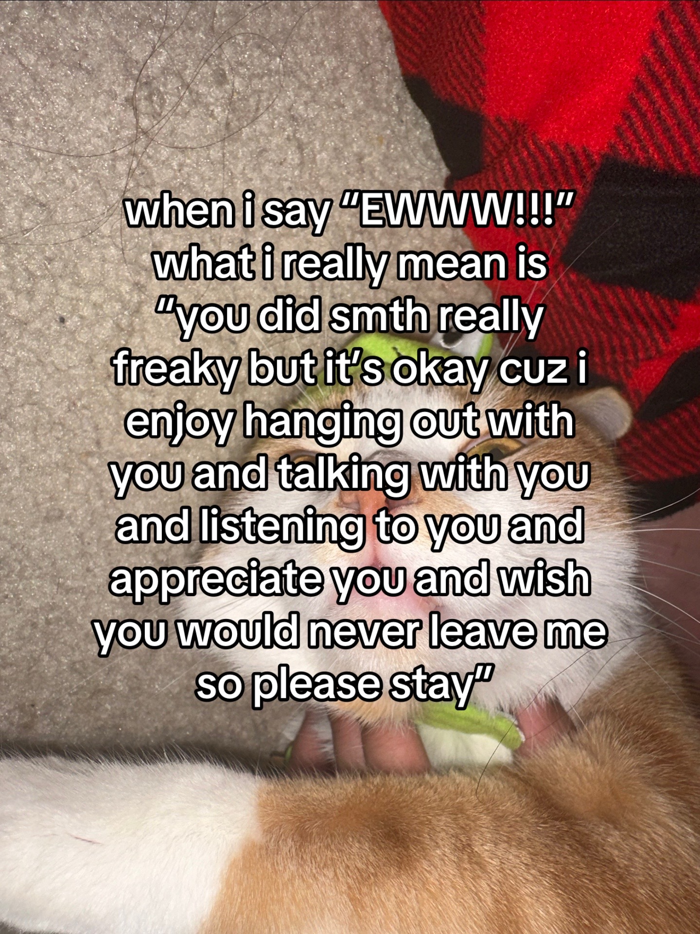 @nori 🍙 | team tragedy !!