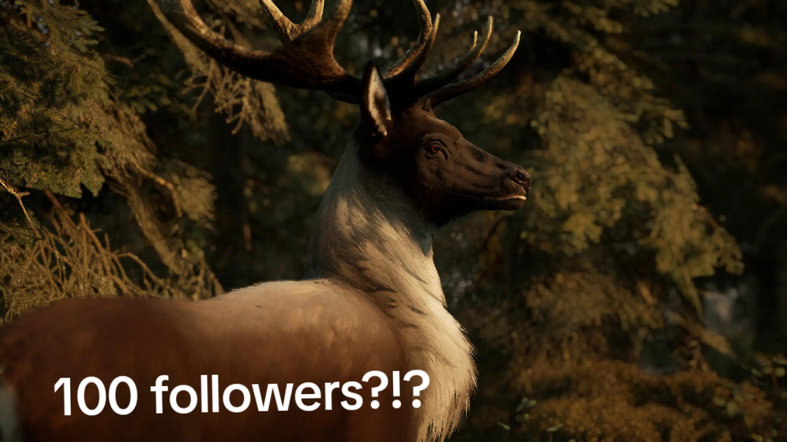 @deer 🕊