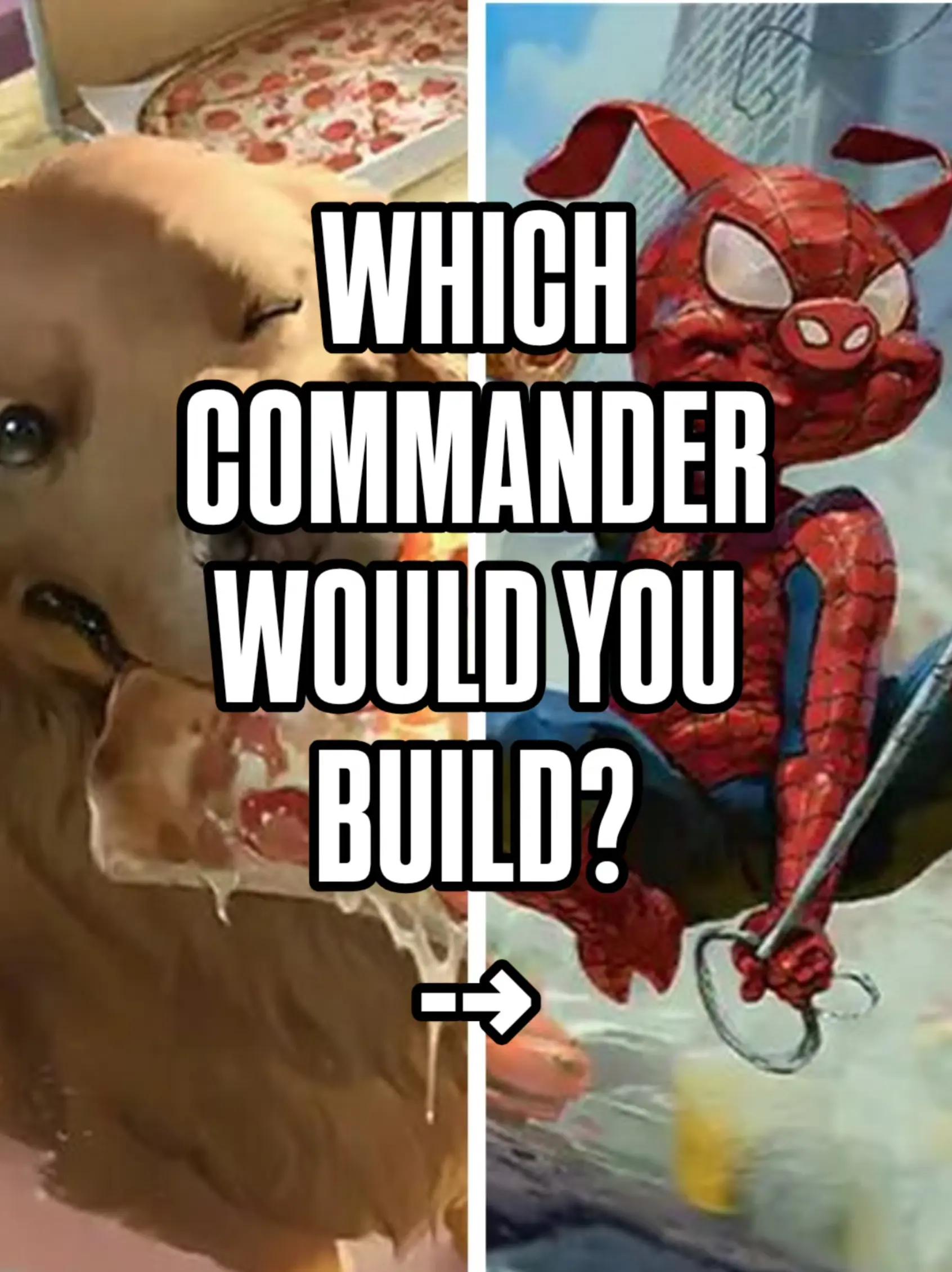 @That TCG Guy
