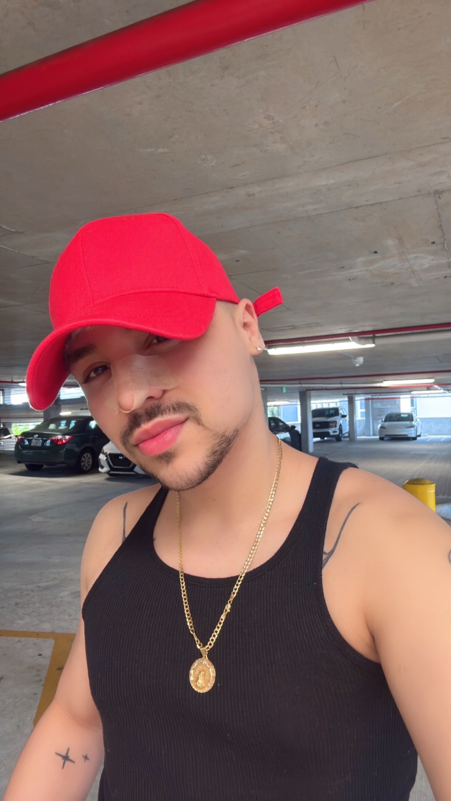 @dariodcelis