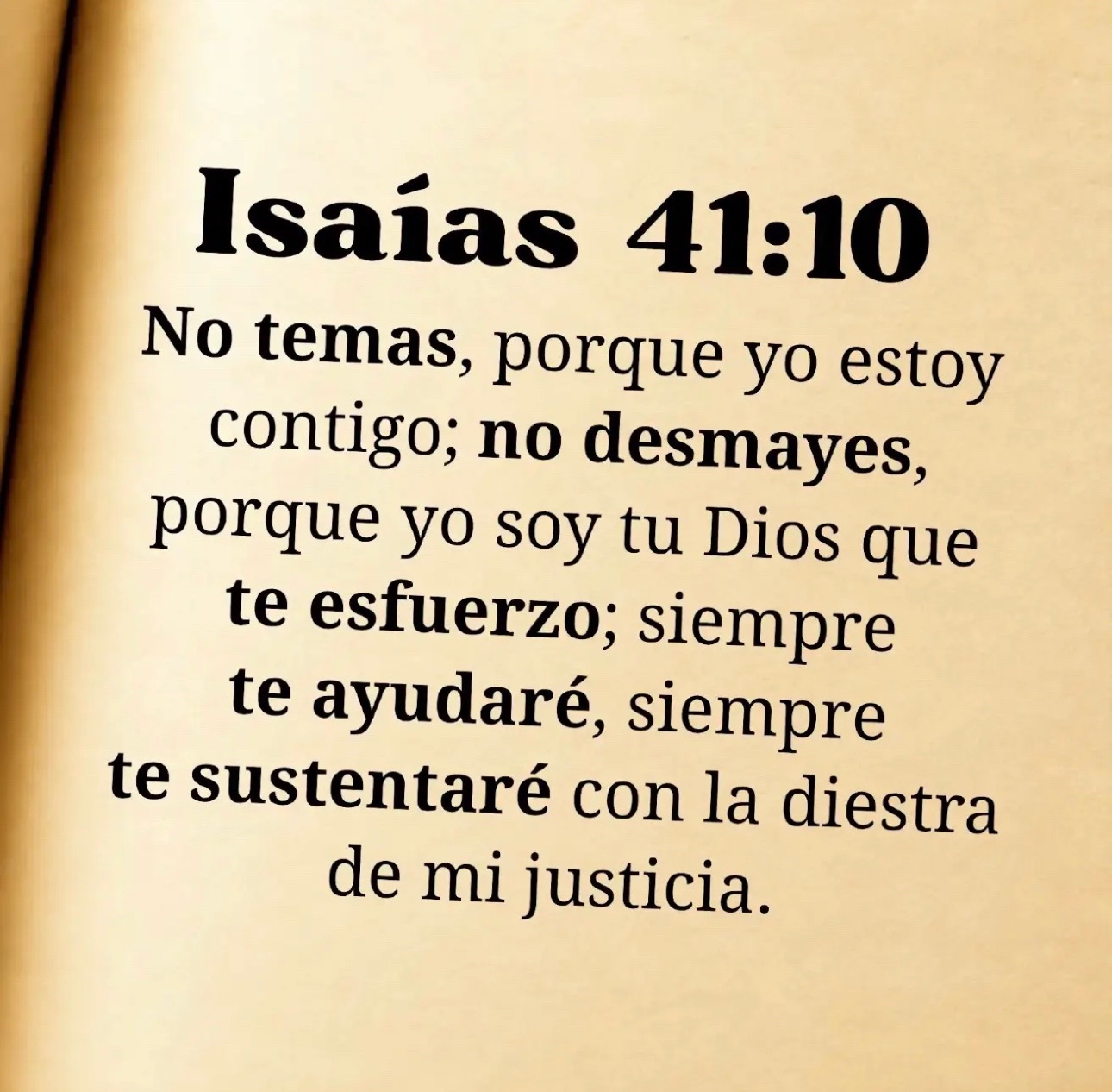@Brenda Olvera✝️🕊️