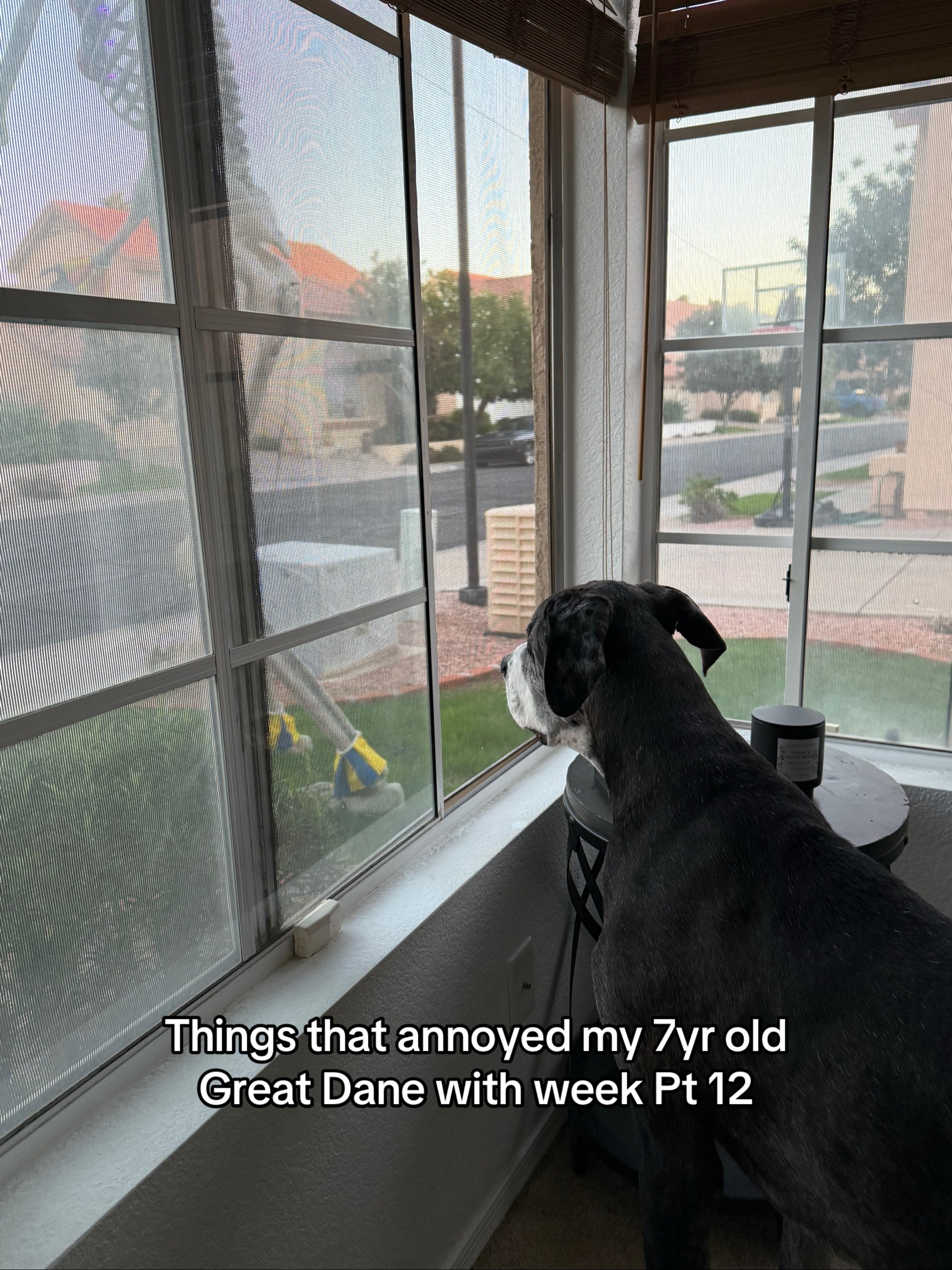 @Linkin the Dane