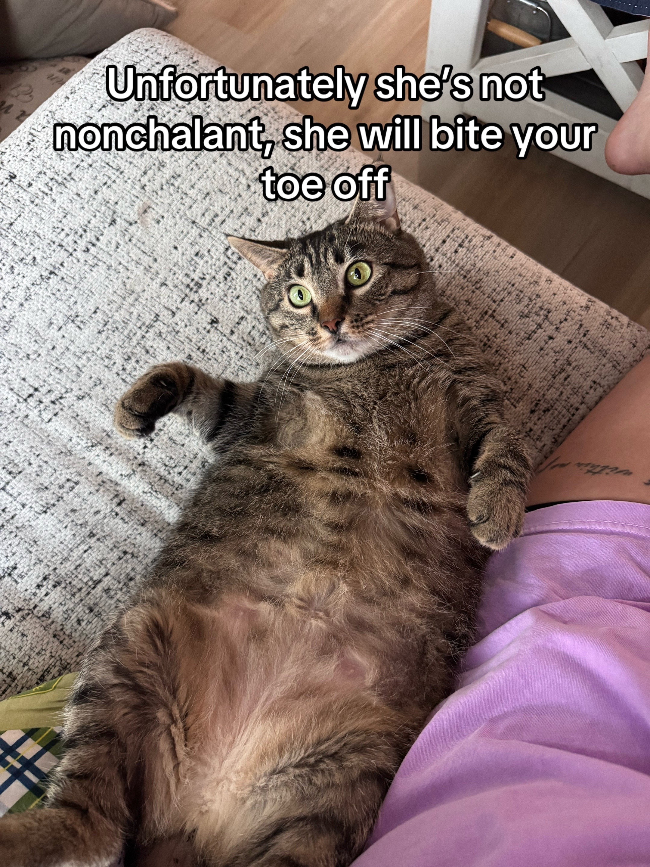 @Jerzi