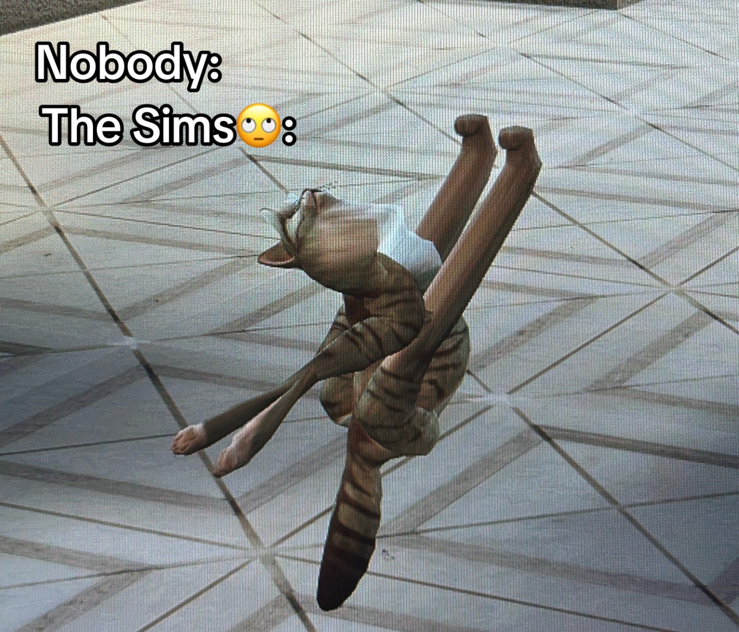 @ts4dollhouse