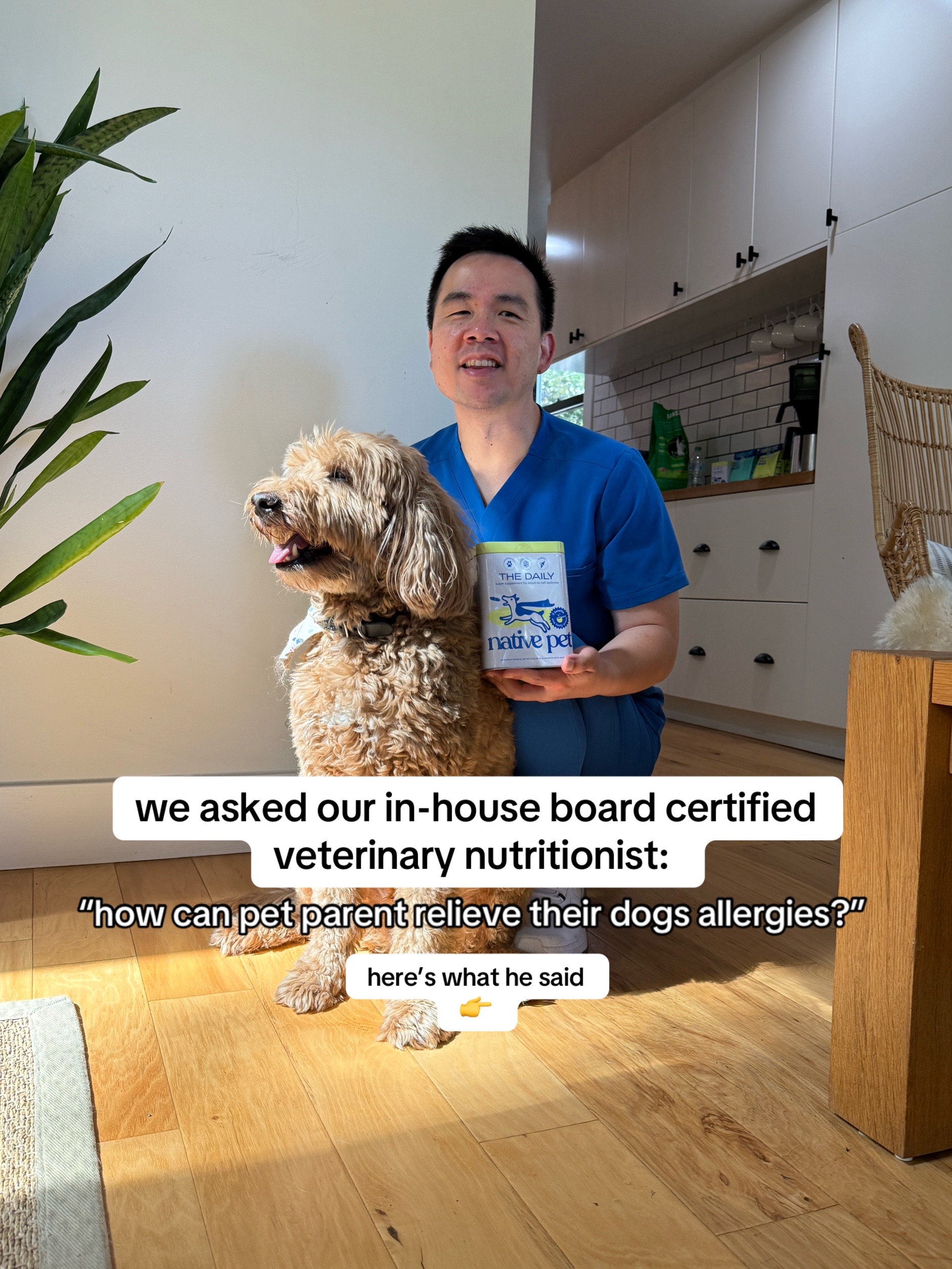 @Native Pet