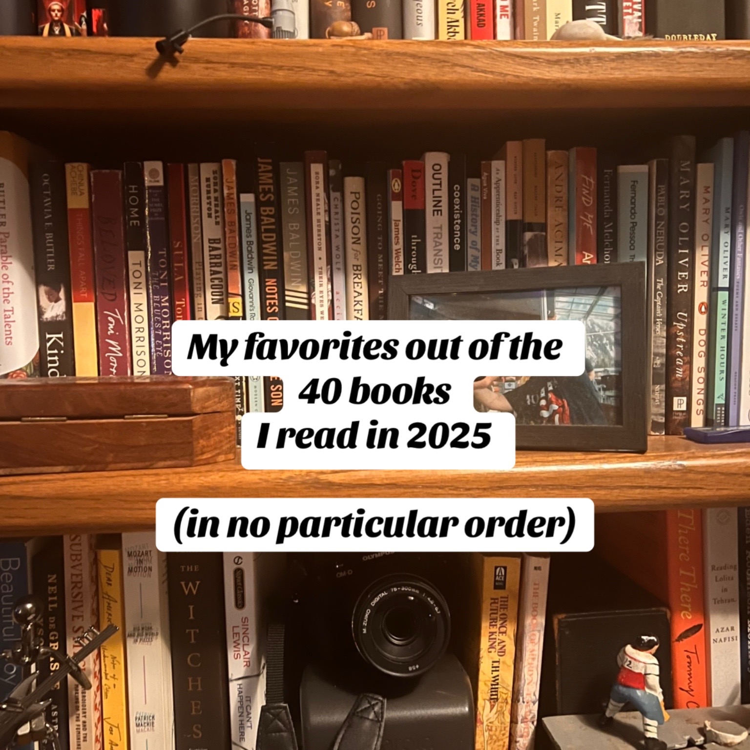 @Birds&ensp;&&ensp;Books