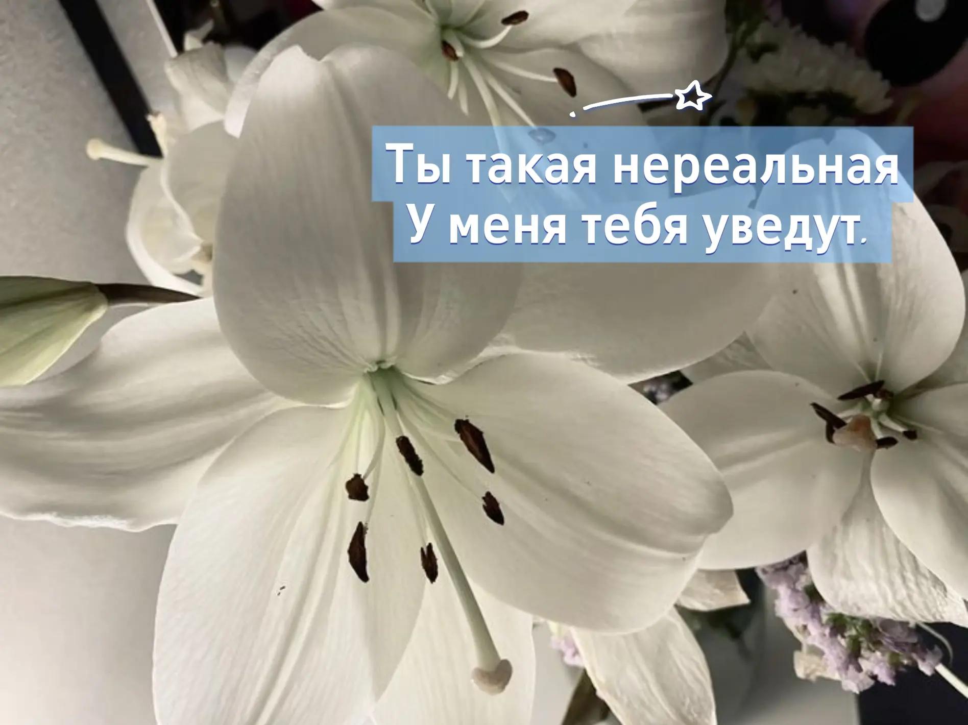@лупикал